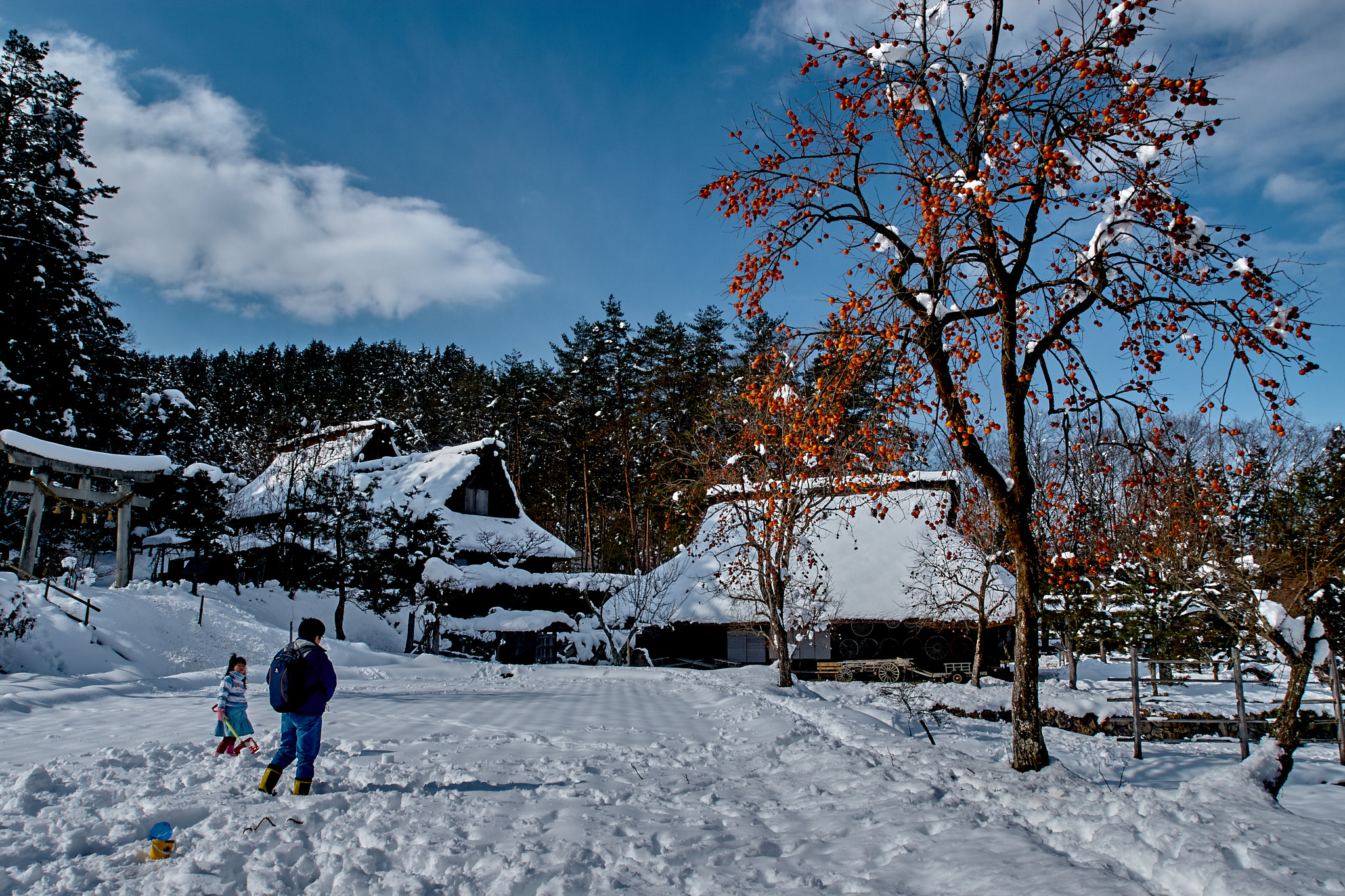 Canon EOS 30D + Canon EF 16-35mm F2.8L USM sample photo. Shirakawago photography