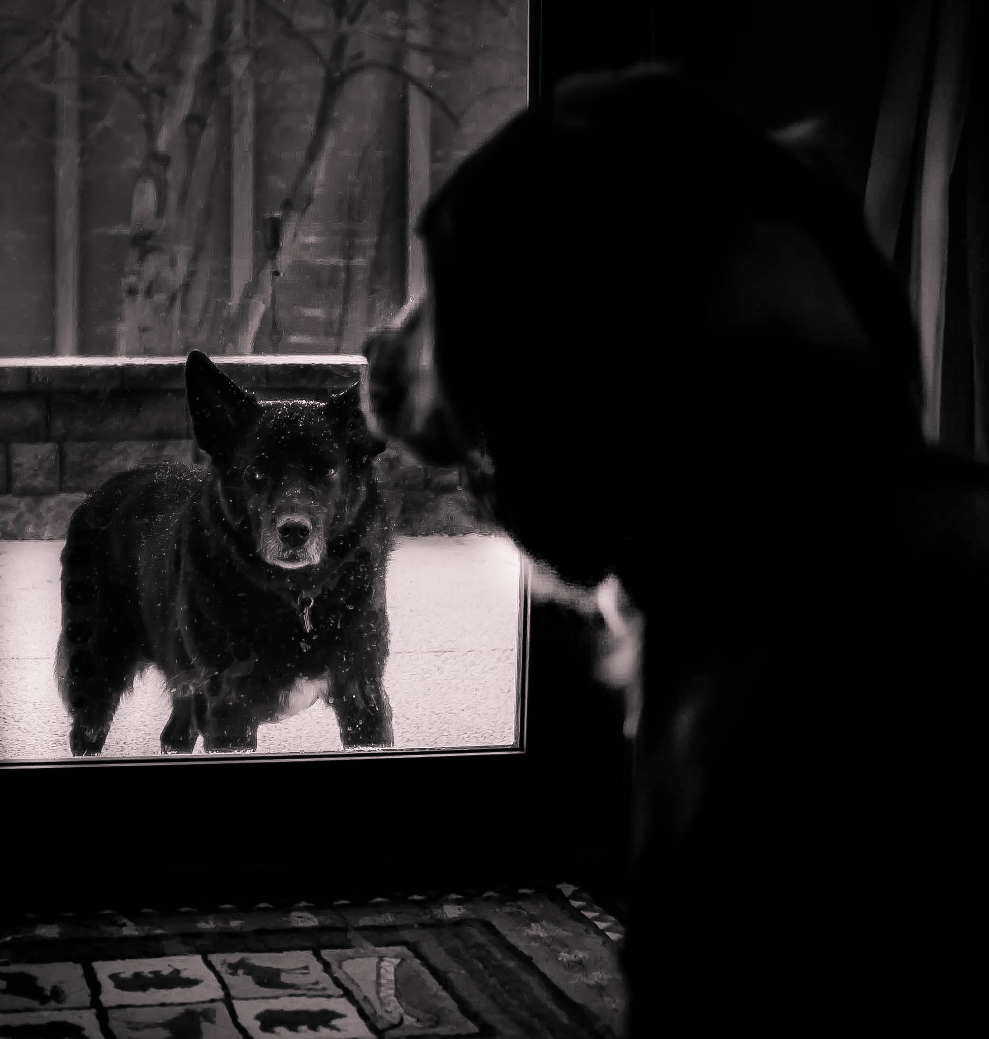 Canon EF 28-105mm f/3.5-4.5 USM sample photo. Neighborhood bully photography