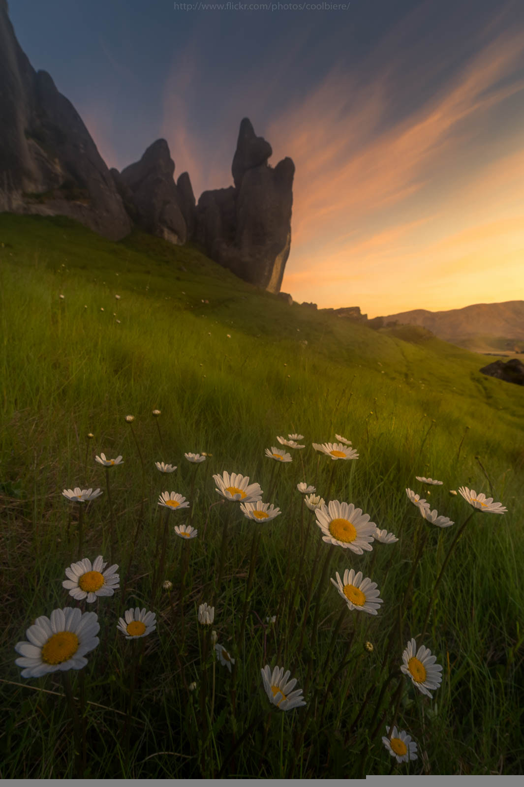 Nikon D4 sample photo. One fine morning at castle hill photography