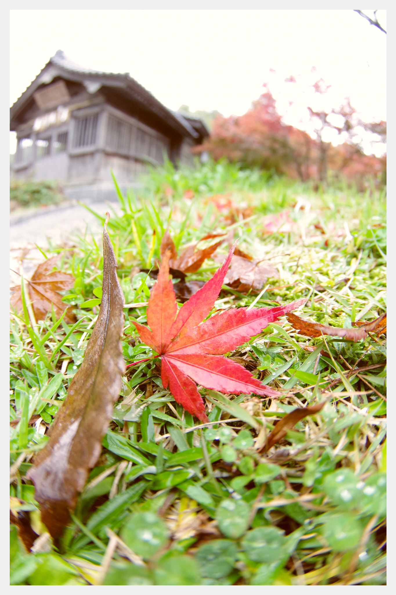 Pentax K-5 IIs sample photo. Imgp0055.jpg photography