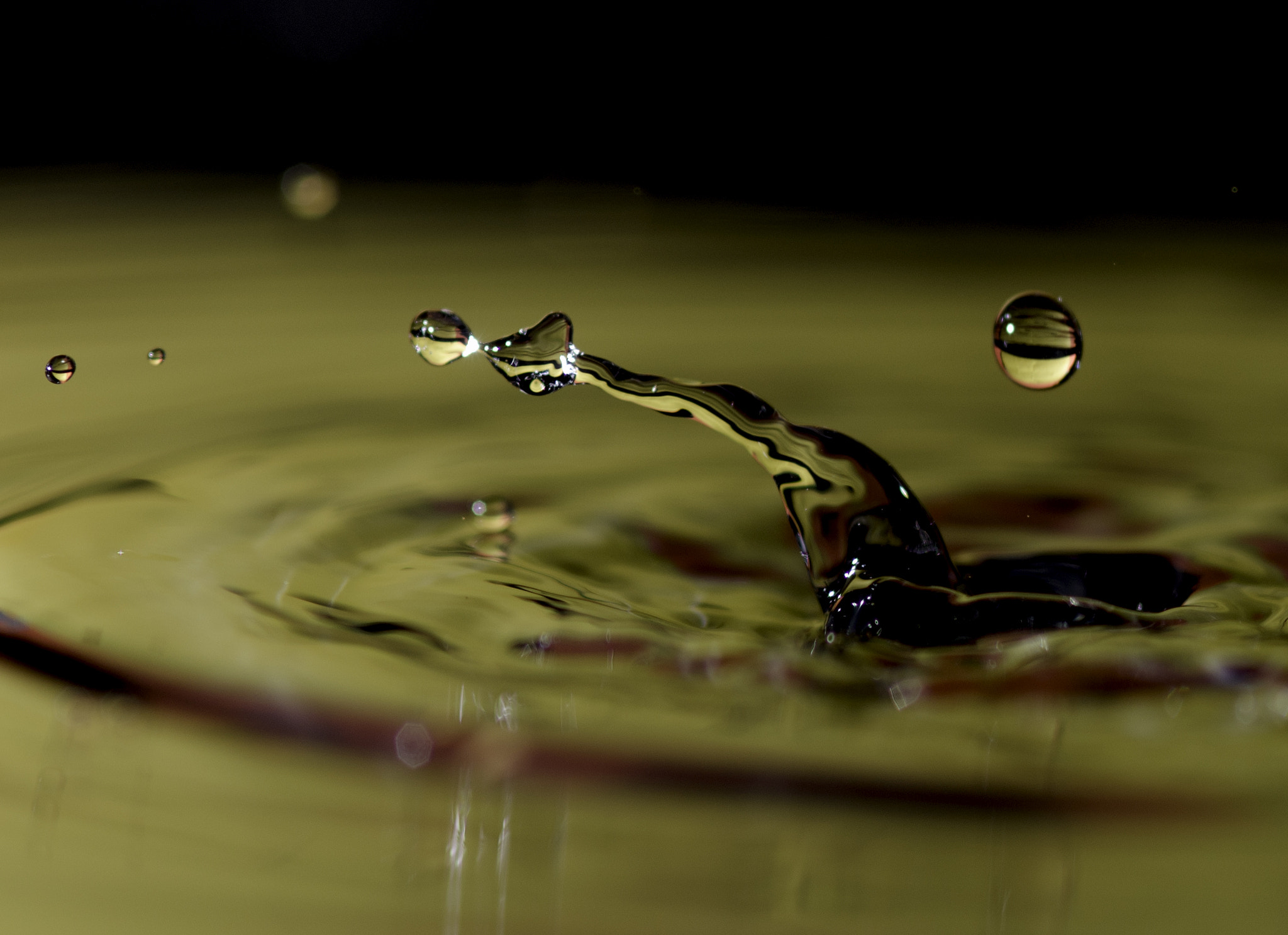 Nikon D7000 + AF Micro-Nikkor 105mm f/2.8 sample photo. Splish photography