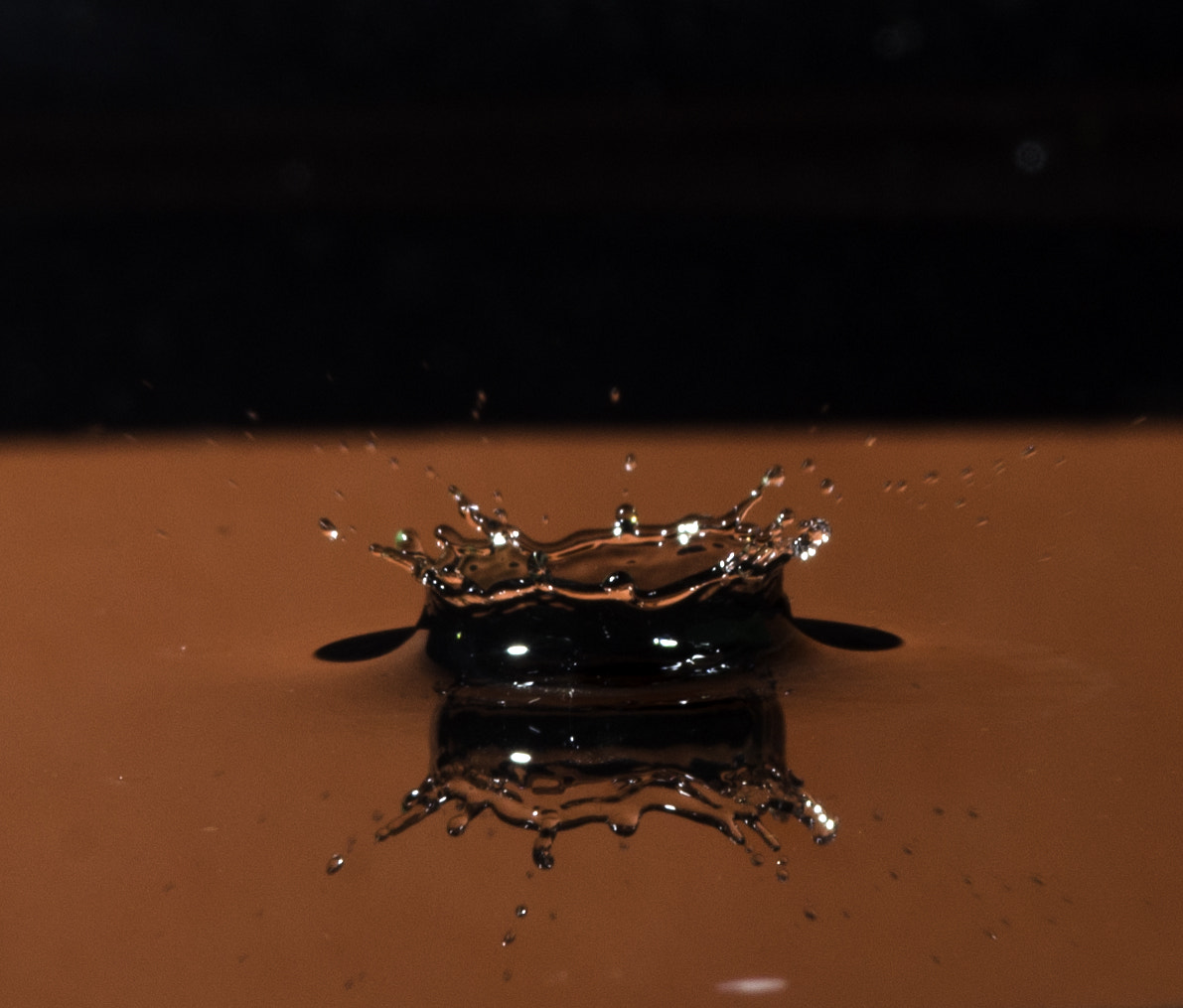 Nikon D7000 + AF Micro-Nikkor 105mm f/2.8 sample photo. Dropd photography