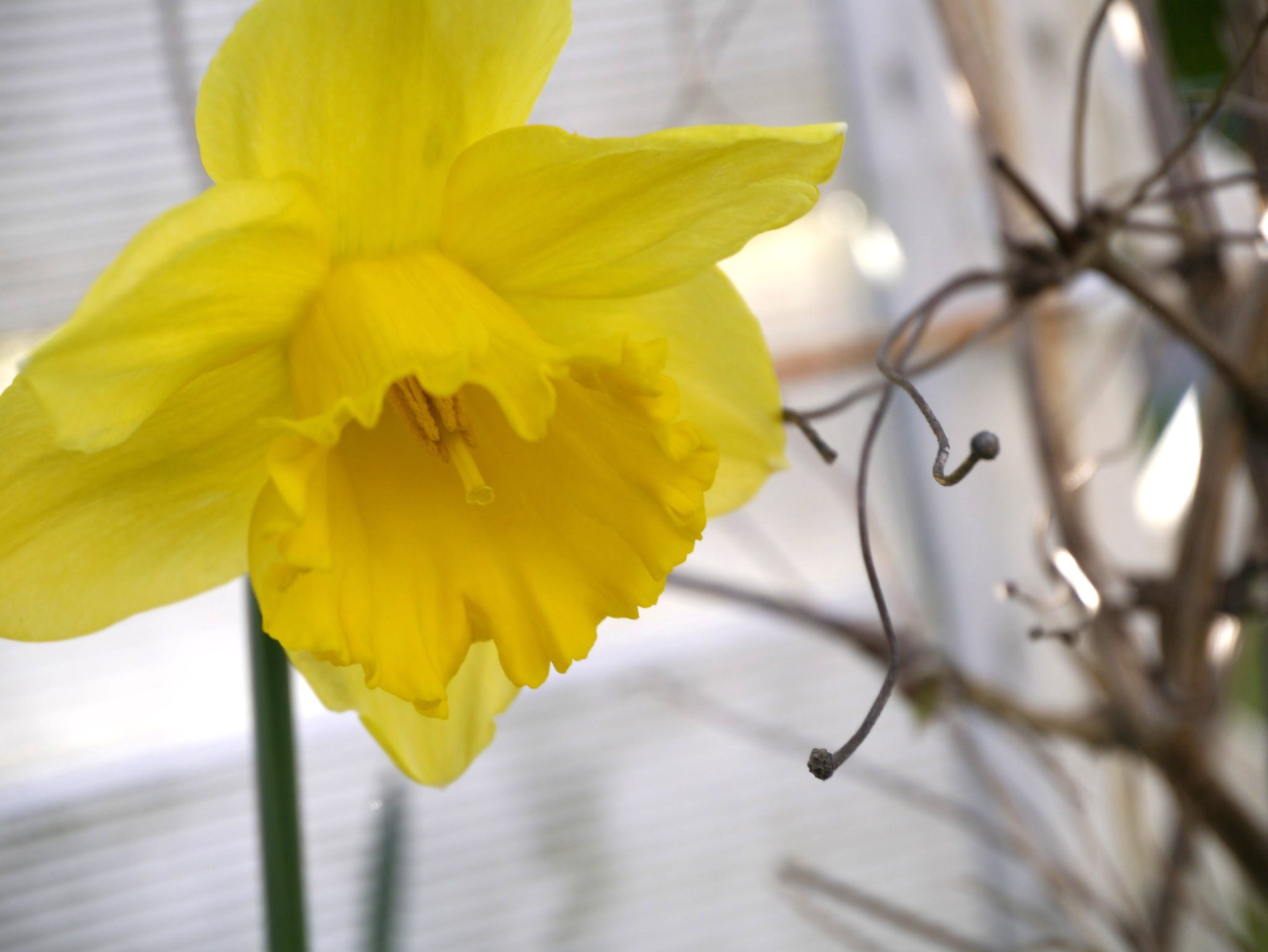 Panasonic Lumix G X Vario PZ 14-42mm F3.5-5.6 ASPH OIS sample photo. _1000372.jpg photography