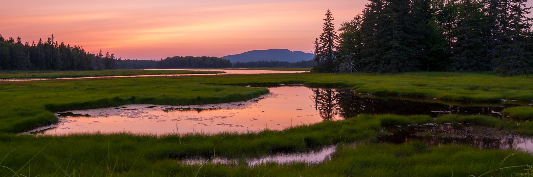 Samyang 14mm F2.8 ED AS IF UMC sample photo. Bass harbor marsh reflection photography