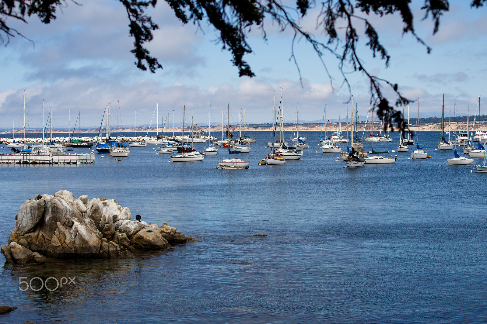 Canon EOS 6D + Canon EF 70-210mm f/4 sample photo. Monterey bay photography