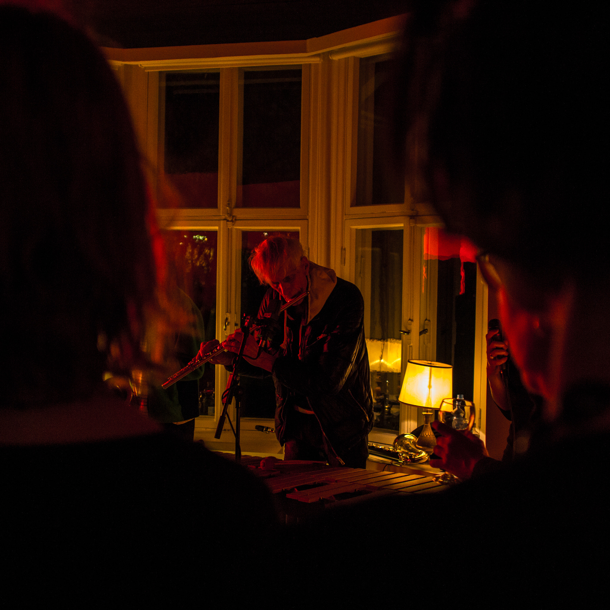 Canon EF 24mm F2.8 IS USM sample photo. We jazz 2015: genelec house dec 12 / gunter hampel quintet photography