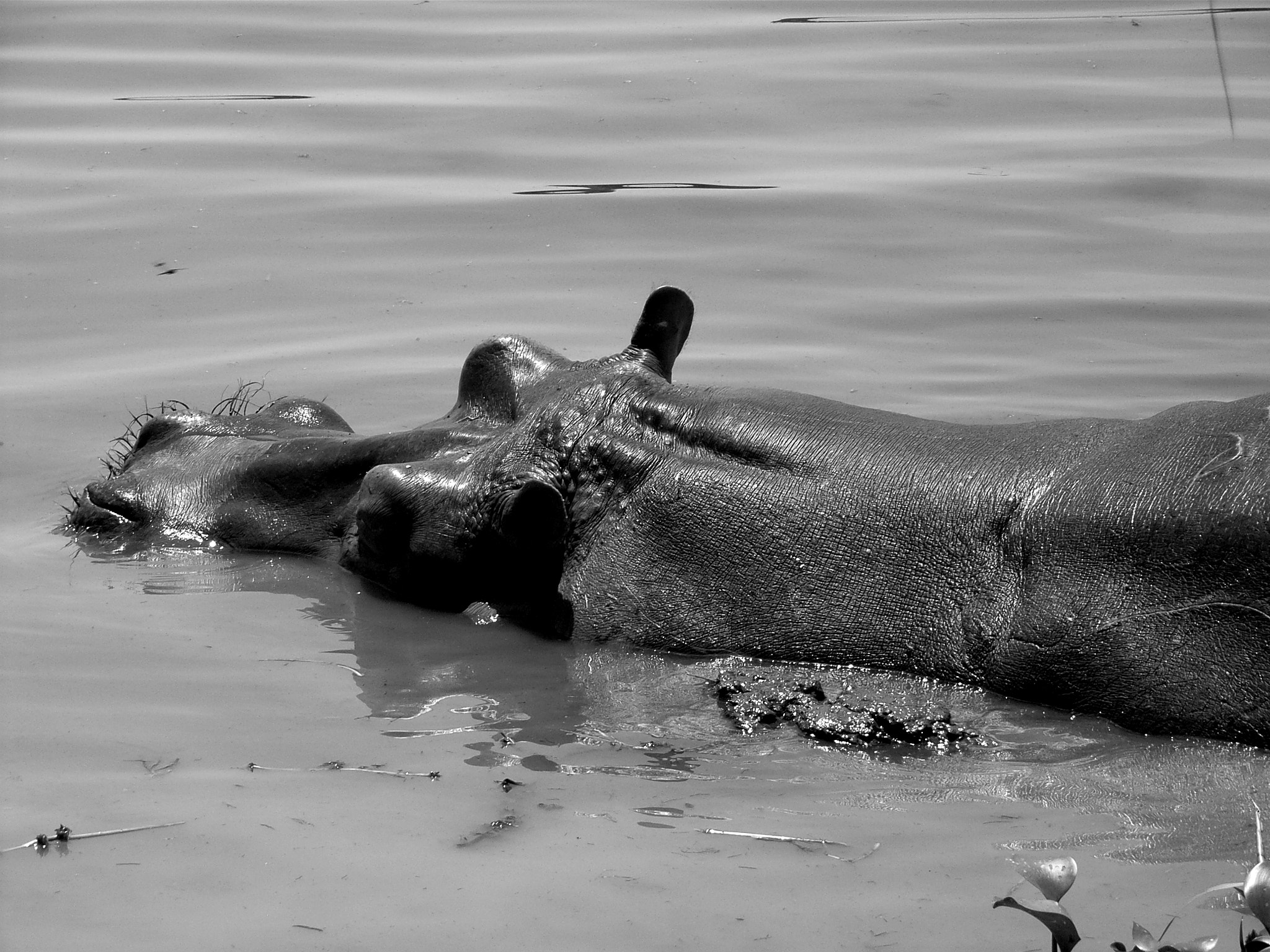 Ricoh Caplio R30 sample photo. Uganda photography