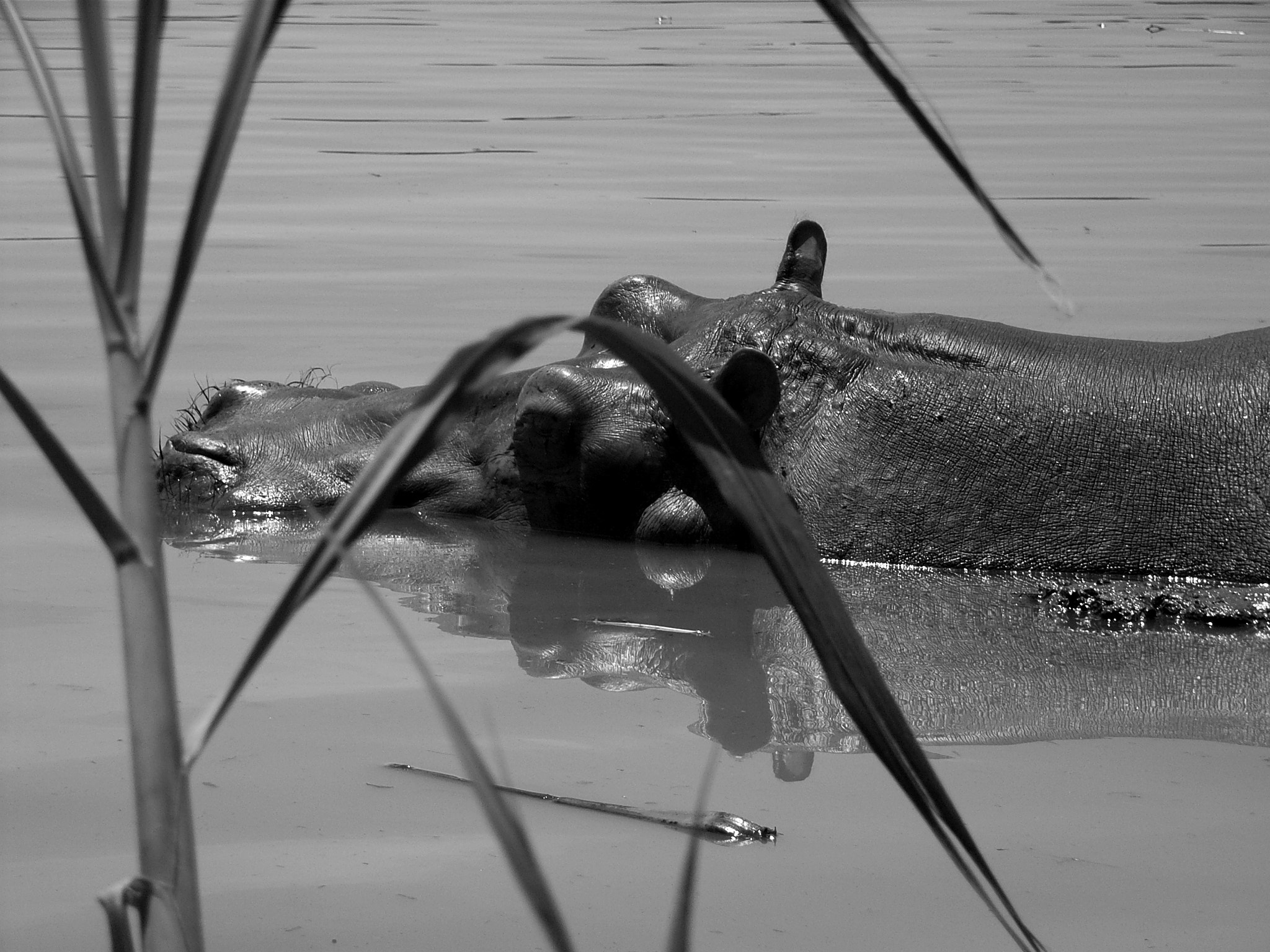 Ricoh Caplio R30 sample photo. Uganda photography