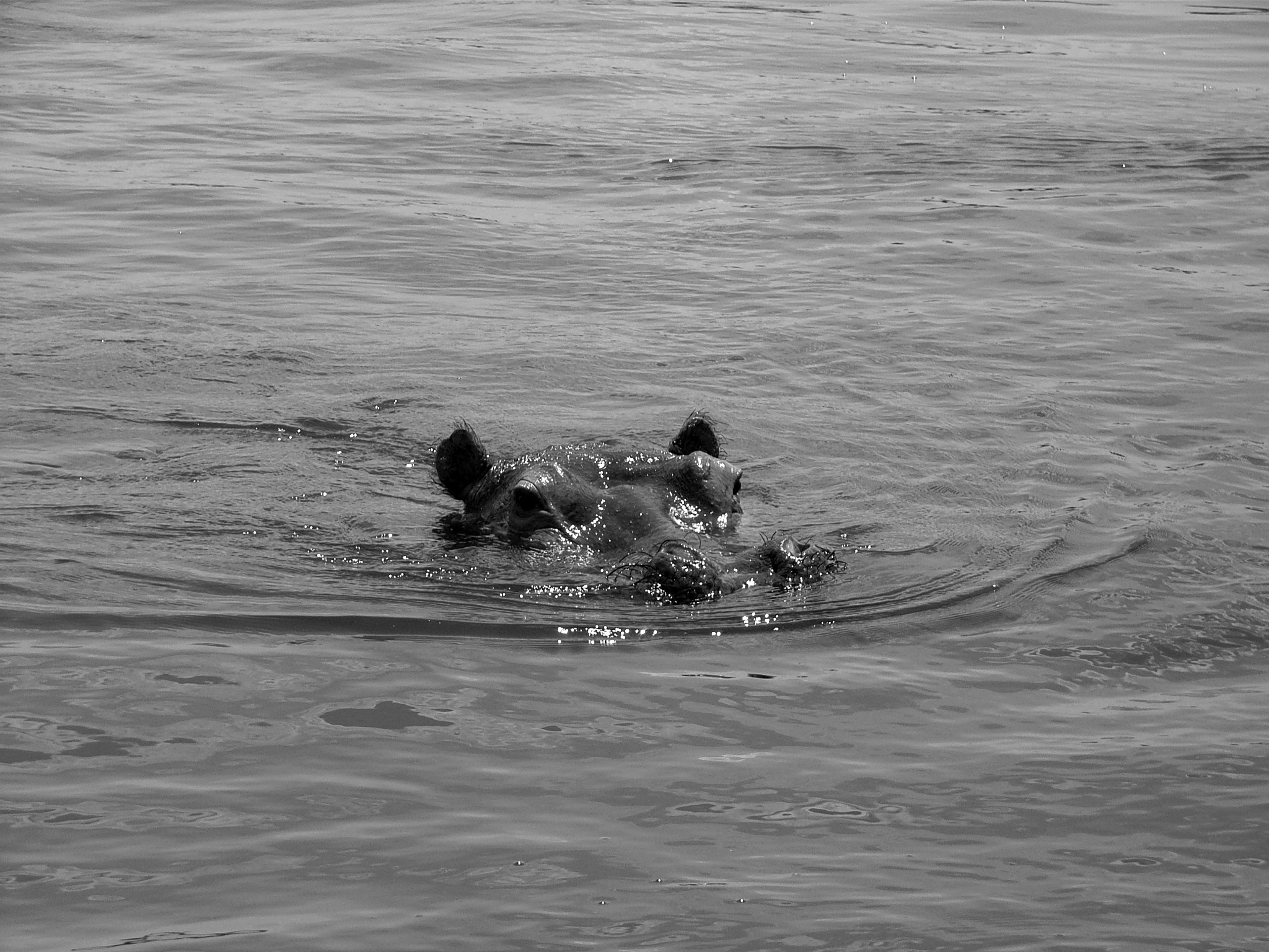 Ricoh Caplio R30 sample photo. Uganda photography