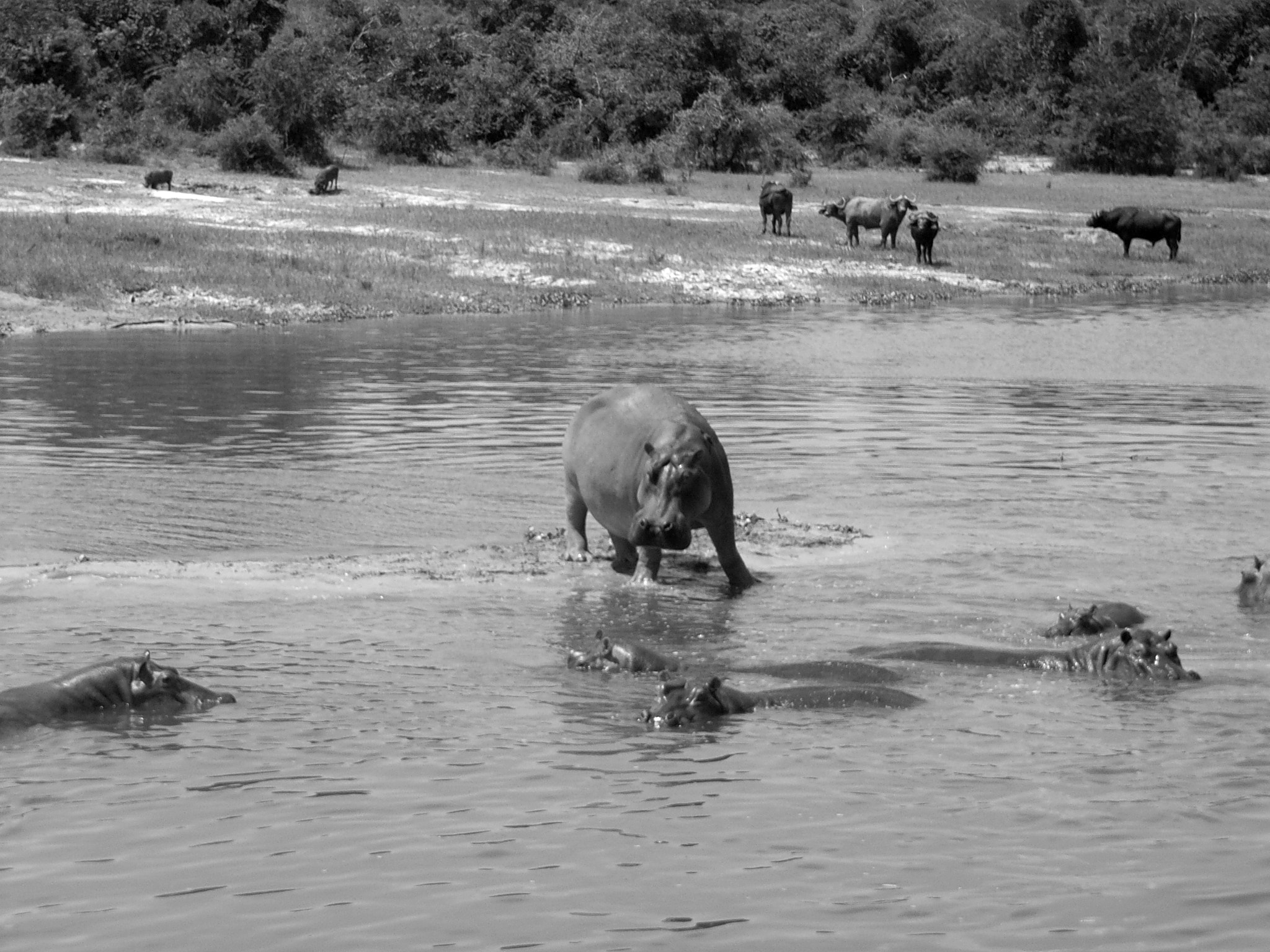 Ricoh Caplio R30 sample photo. Uganda photography