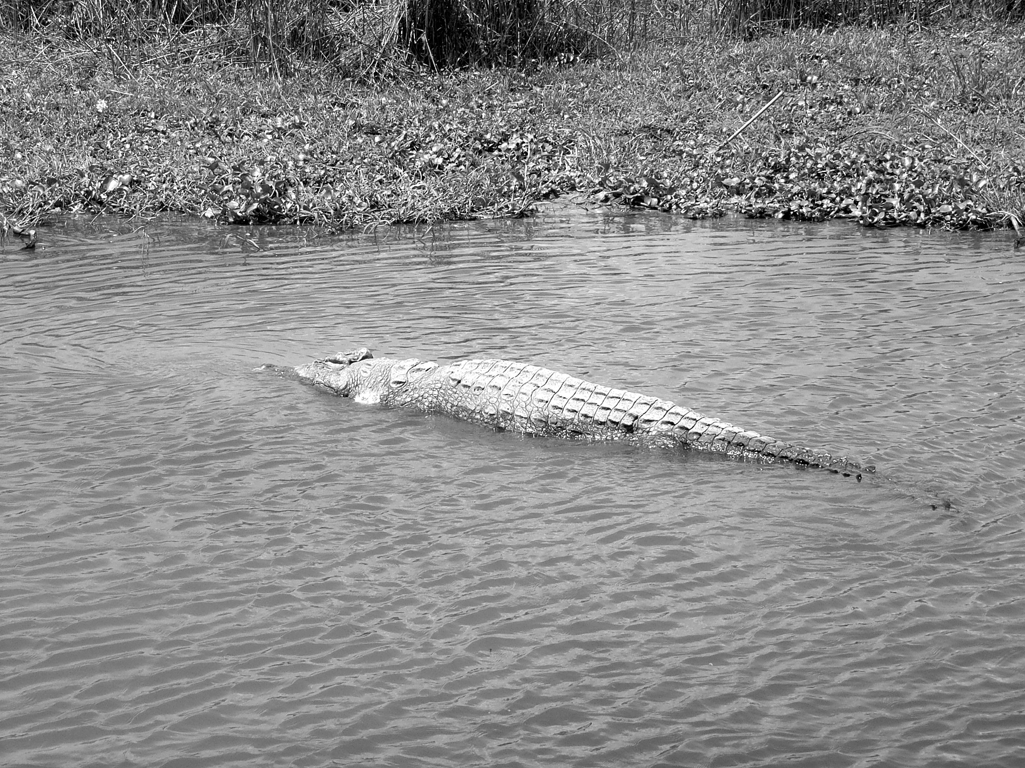 Ricoh Caplio R30 sample photo. Uganda photography