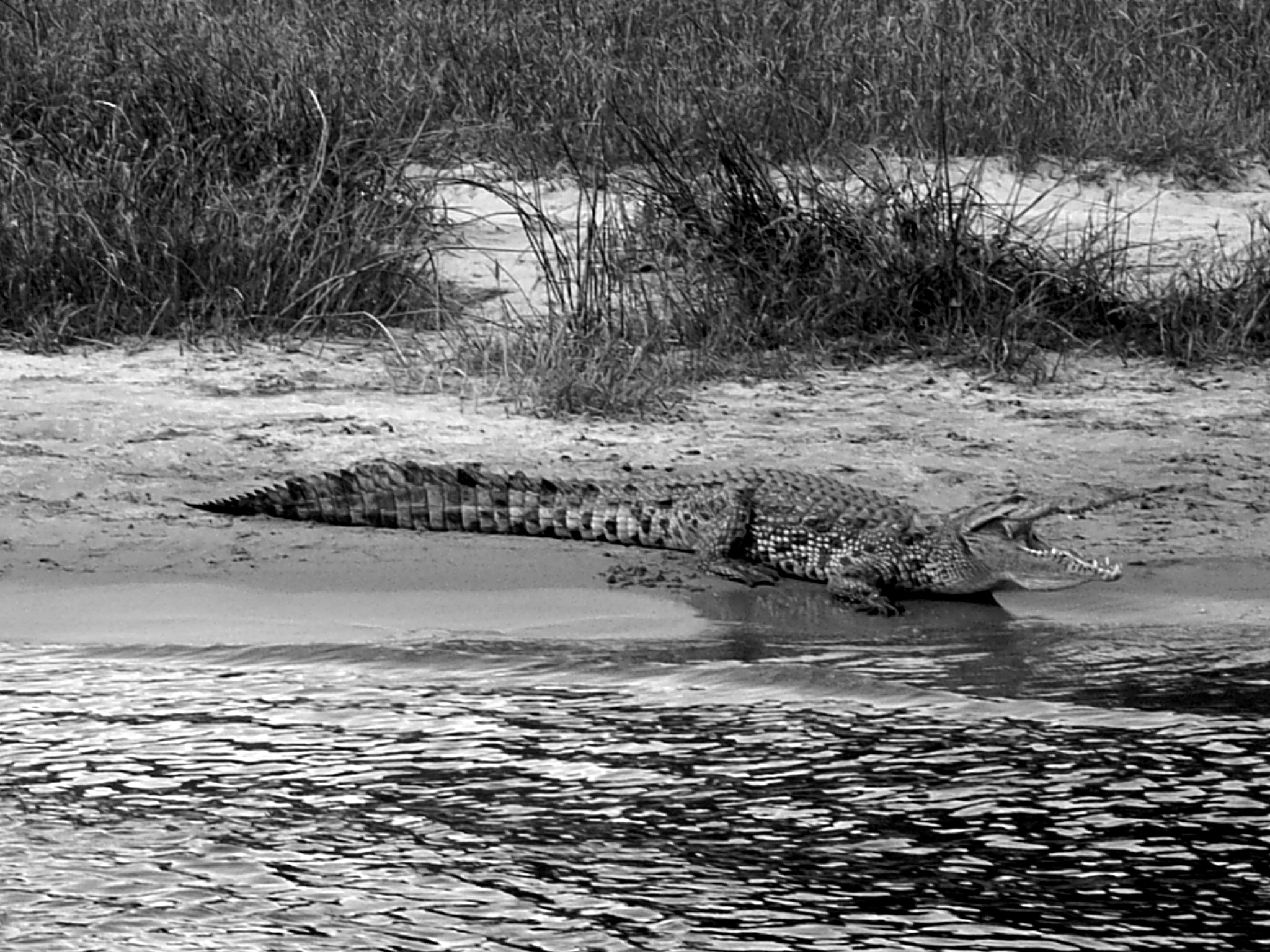 Ricoh Caplio R30 sample photo. Uganda photography