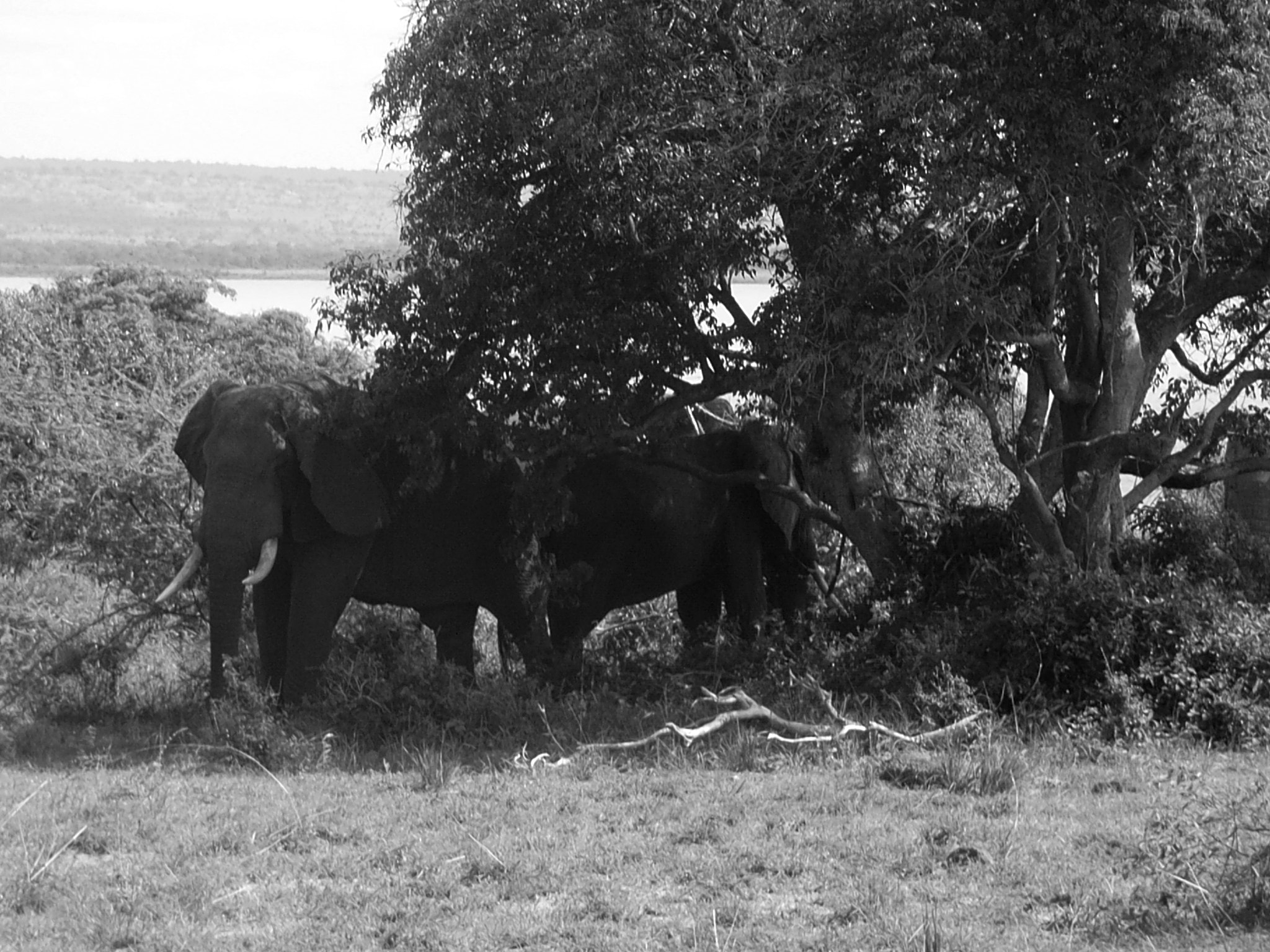 Ricoh Caplio R30 sample photo. Uganda photography