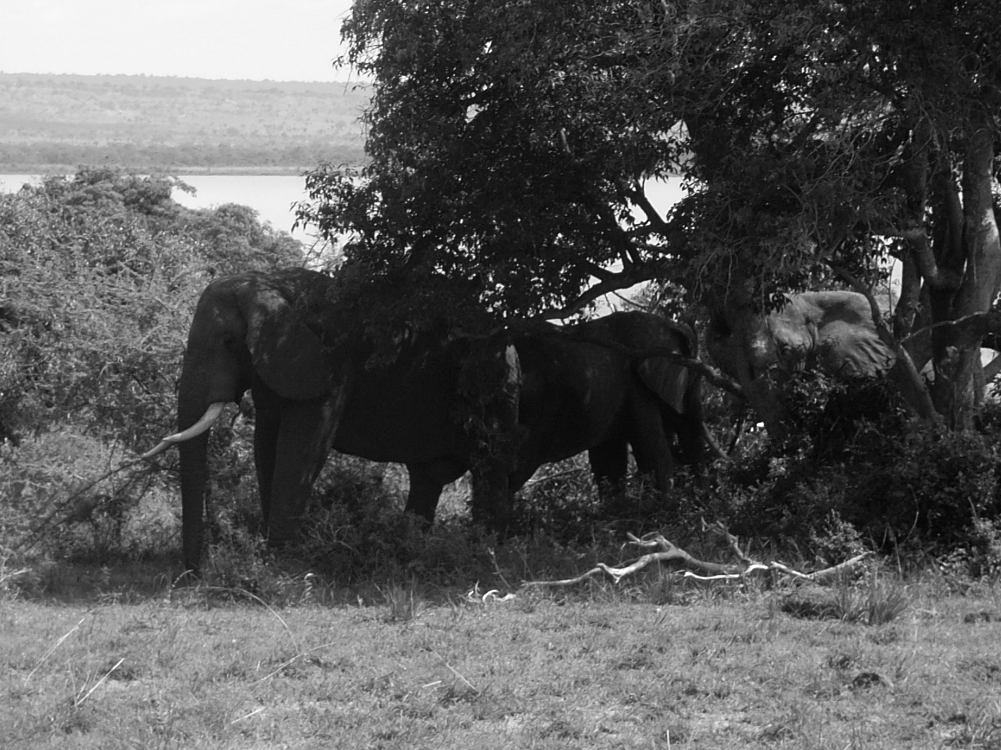 Ricoh Caplio R30 sample photo. Uganda photography
