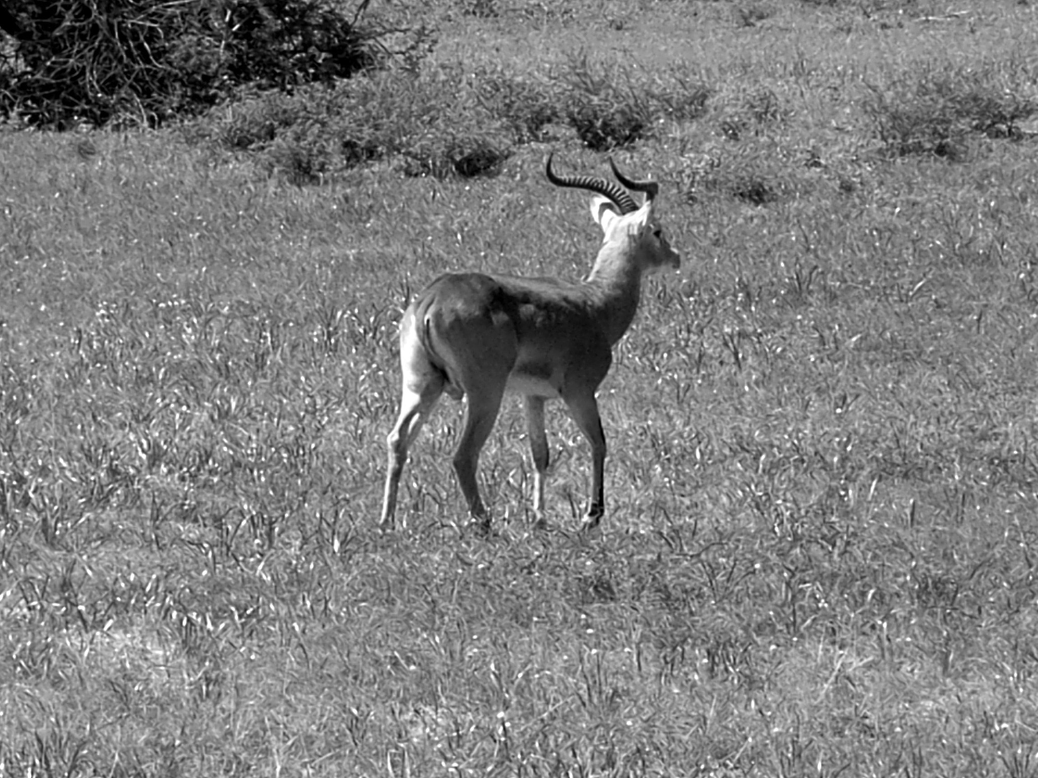 Ricoh Caplio R30 sample photo. Uganda photography