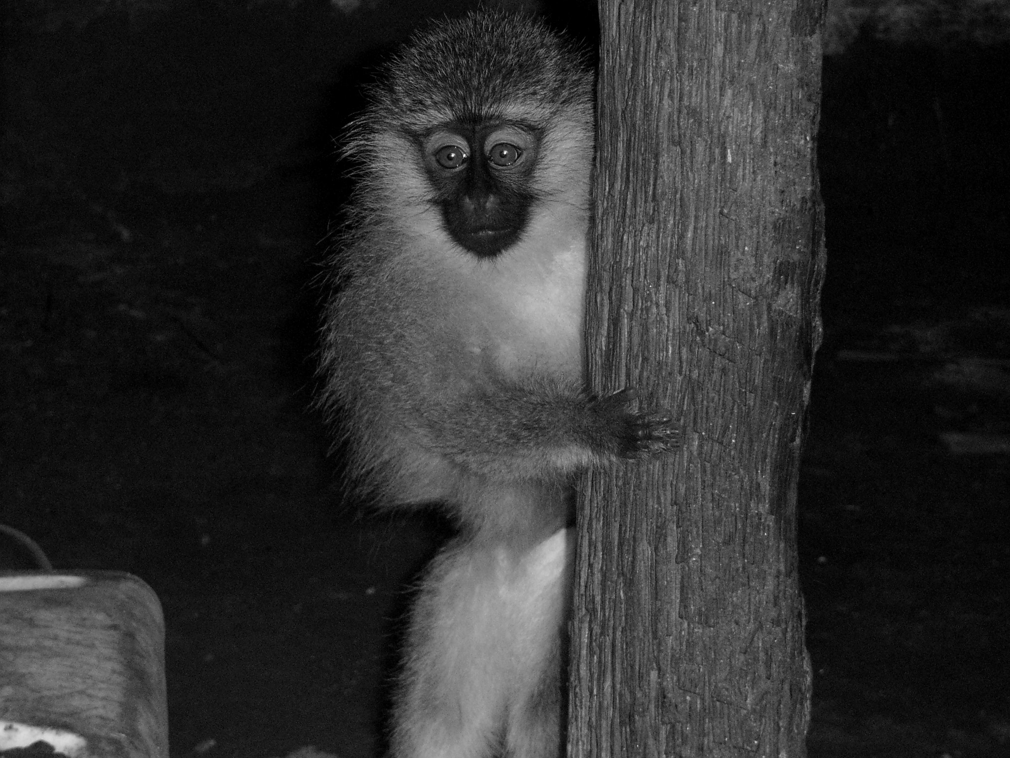 Ricoh Caplio R30 sample photo. Uganda photography