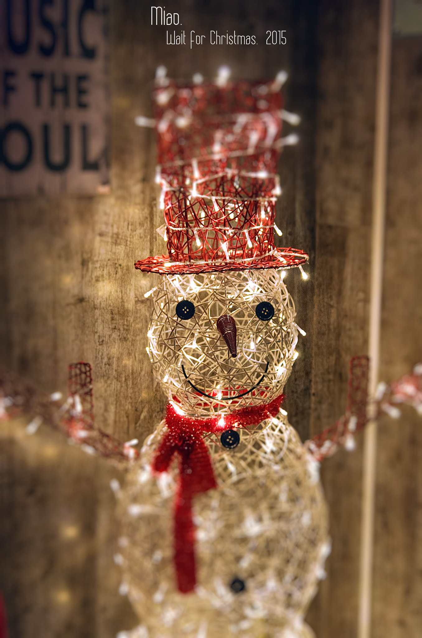 Pentax K-50 sample photo. 2015 christmas. china photography
