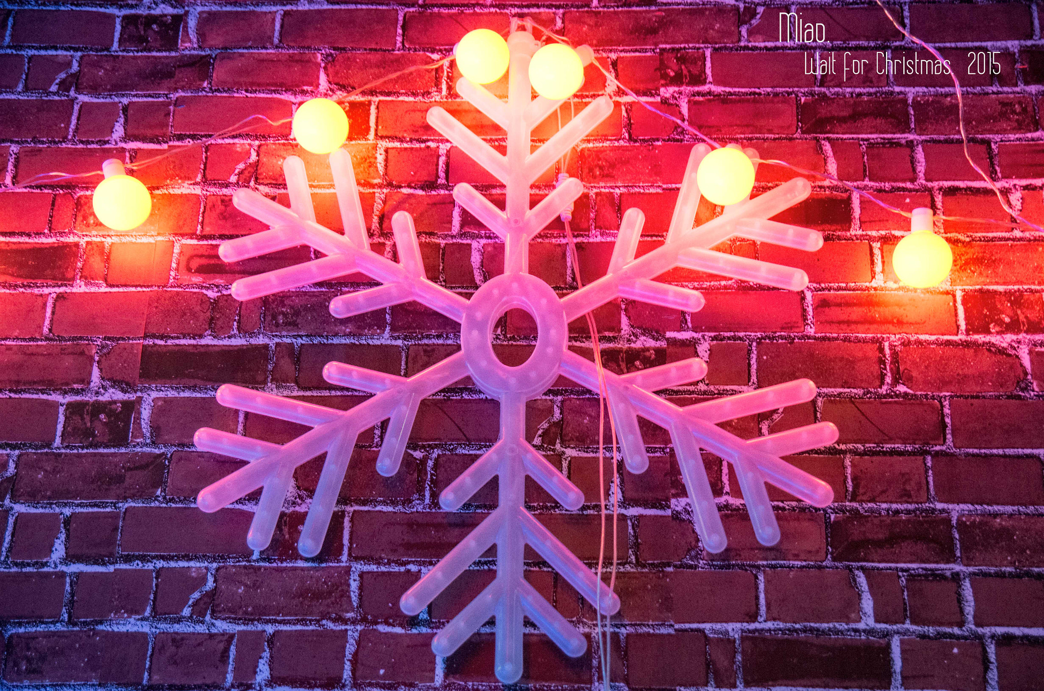 Pentax K-50 sample photo. 2015 christmas. china photography