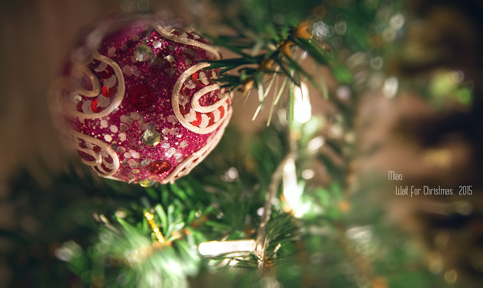 Pentax K-50 sample photo. 2015 christmas. china photography
