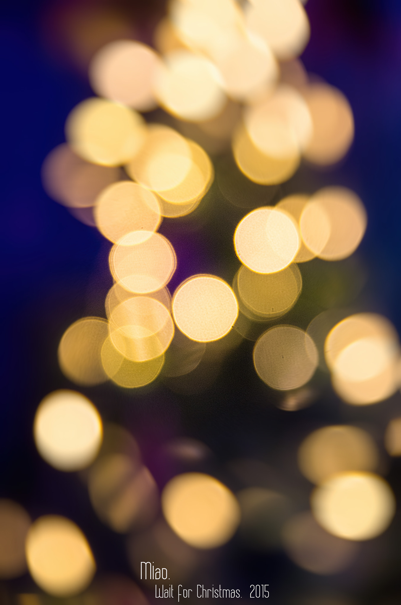Pentax K-50 sample photo. 2015 christmas. china photography
