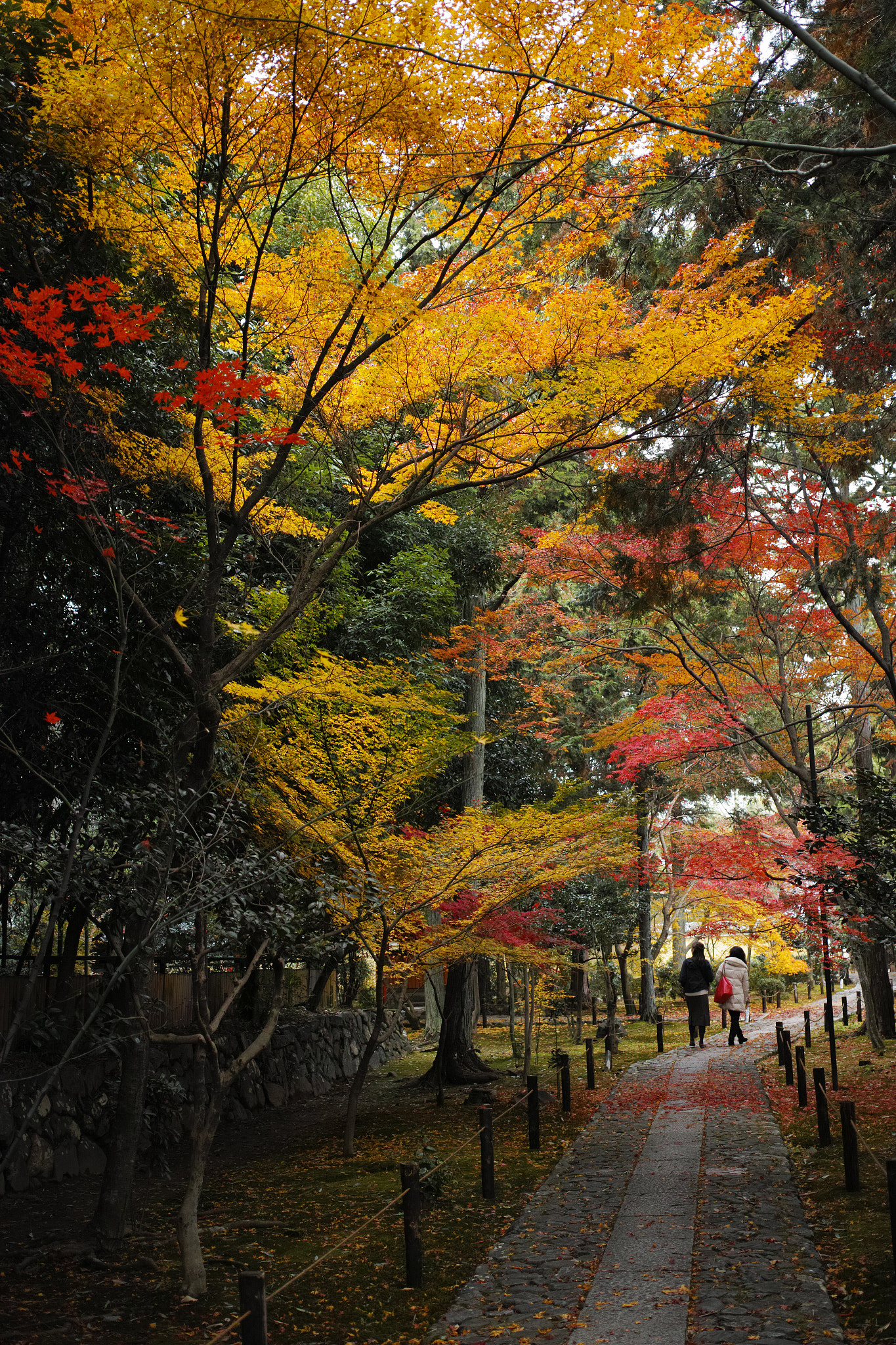 Sigma dp2 Quattro + 1007 sample photo. Rokuouin photography
