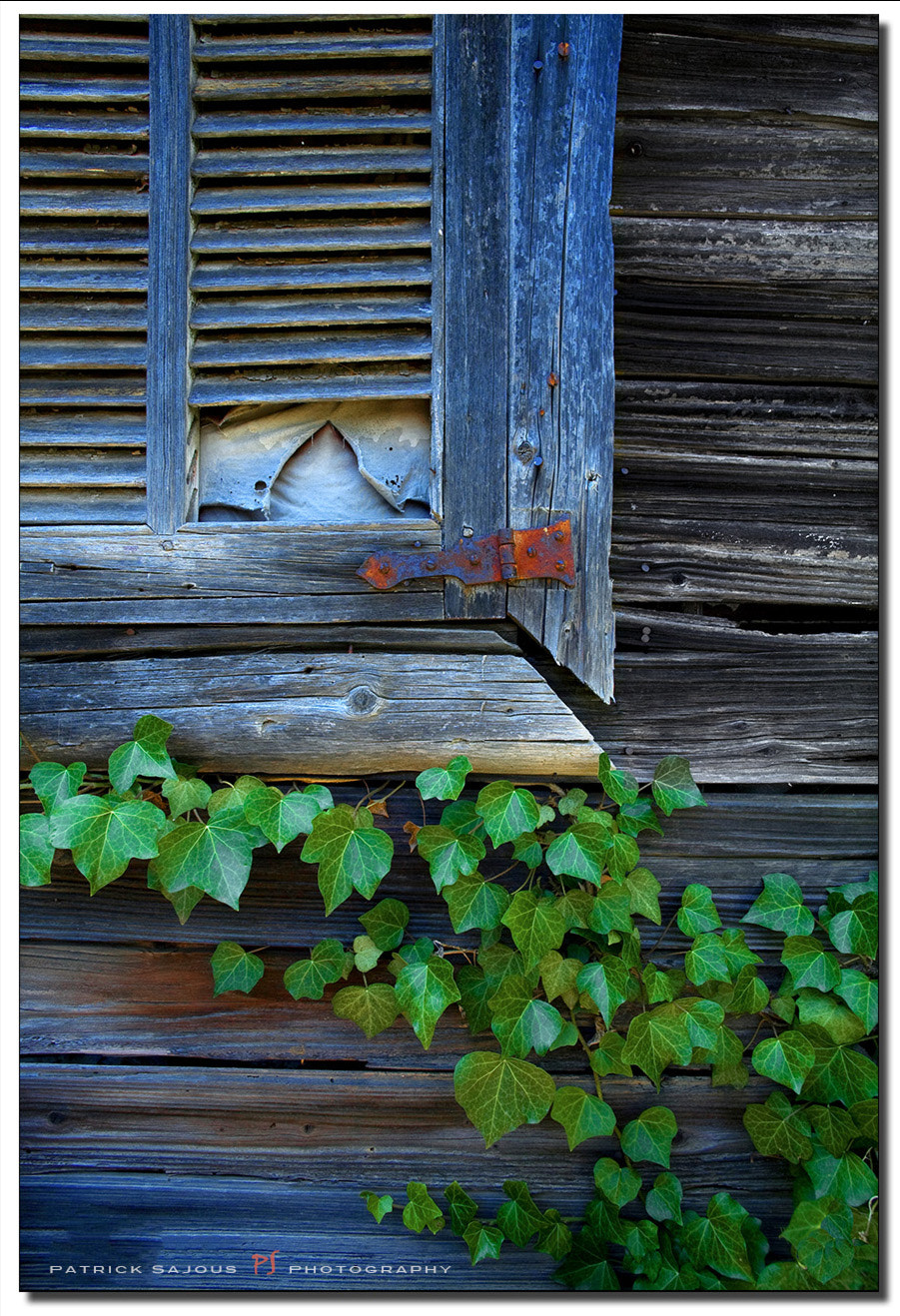 Canon EOS 5D + Canon EF 20mm F2.8 USM sample photo. Le temps qui passe photography