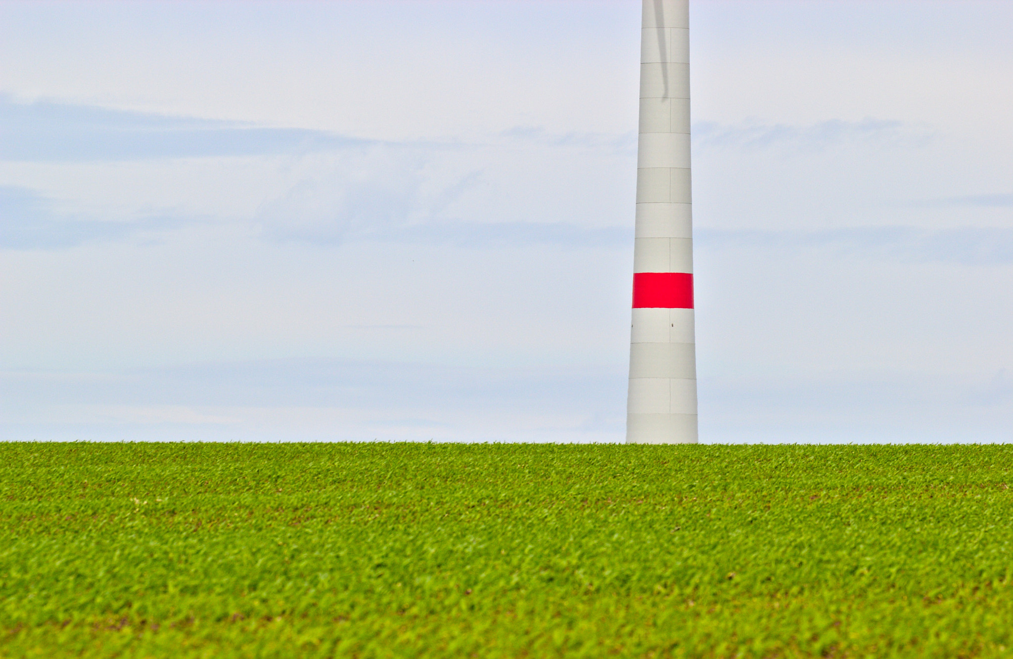 Canon EF 100-400mm F4.5-5.6L IS II USM sample photo. Red above green photography