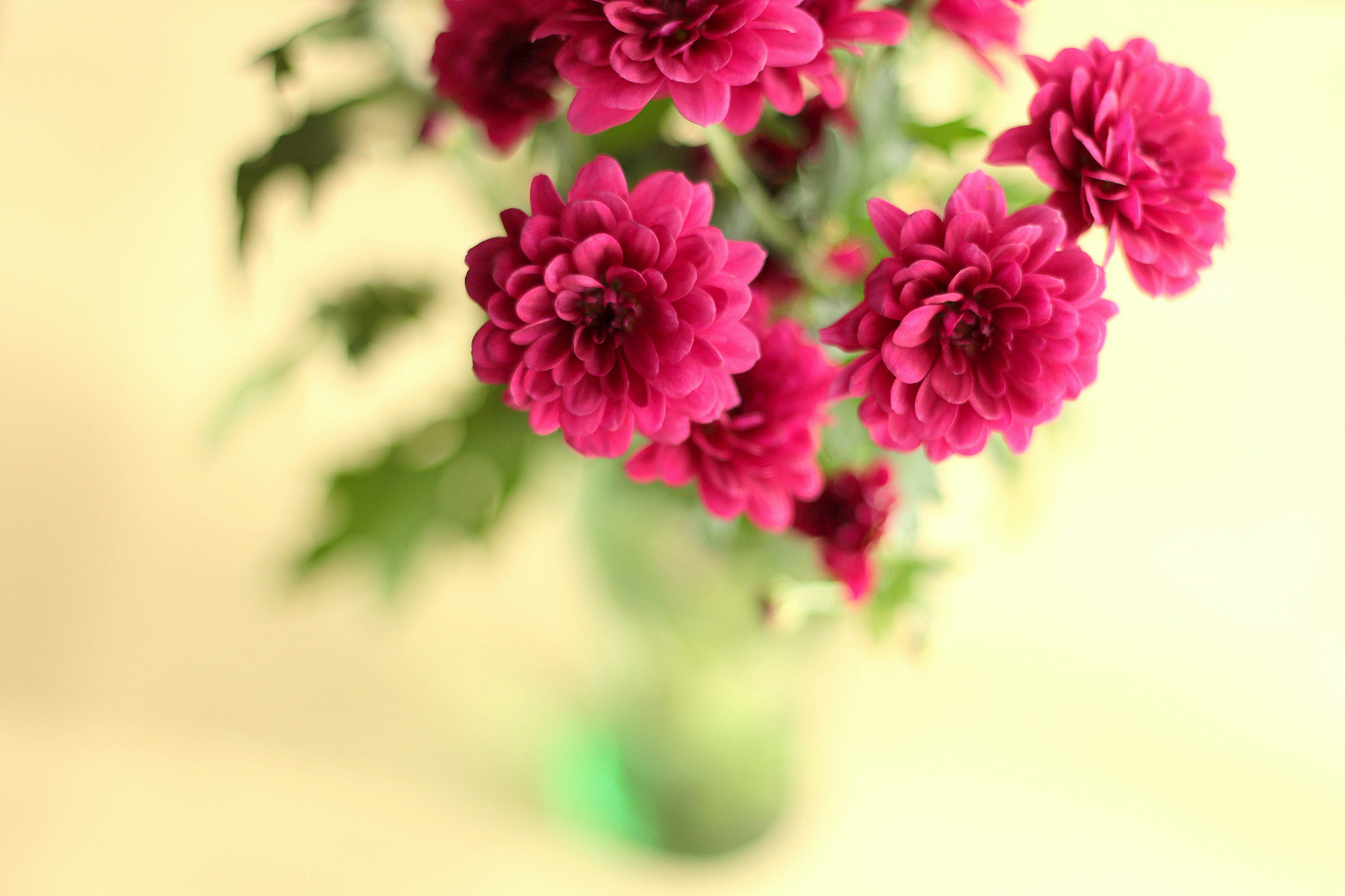 Canon EOS 650D (EOS Rebel T4i / EOS Kiss X6i) + Canon EF 50mm F1.8 II sample photo. Chic photography