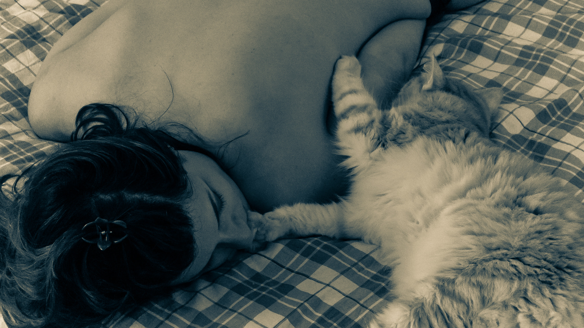 Pentax 06 Telephoto 15-45mm sample photo. Sleeping beauties photography