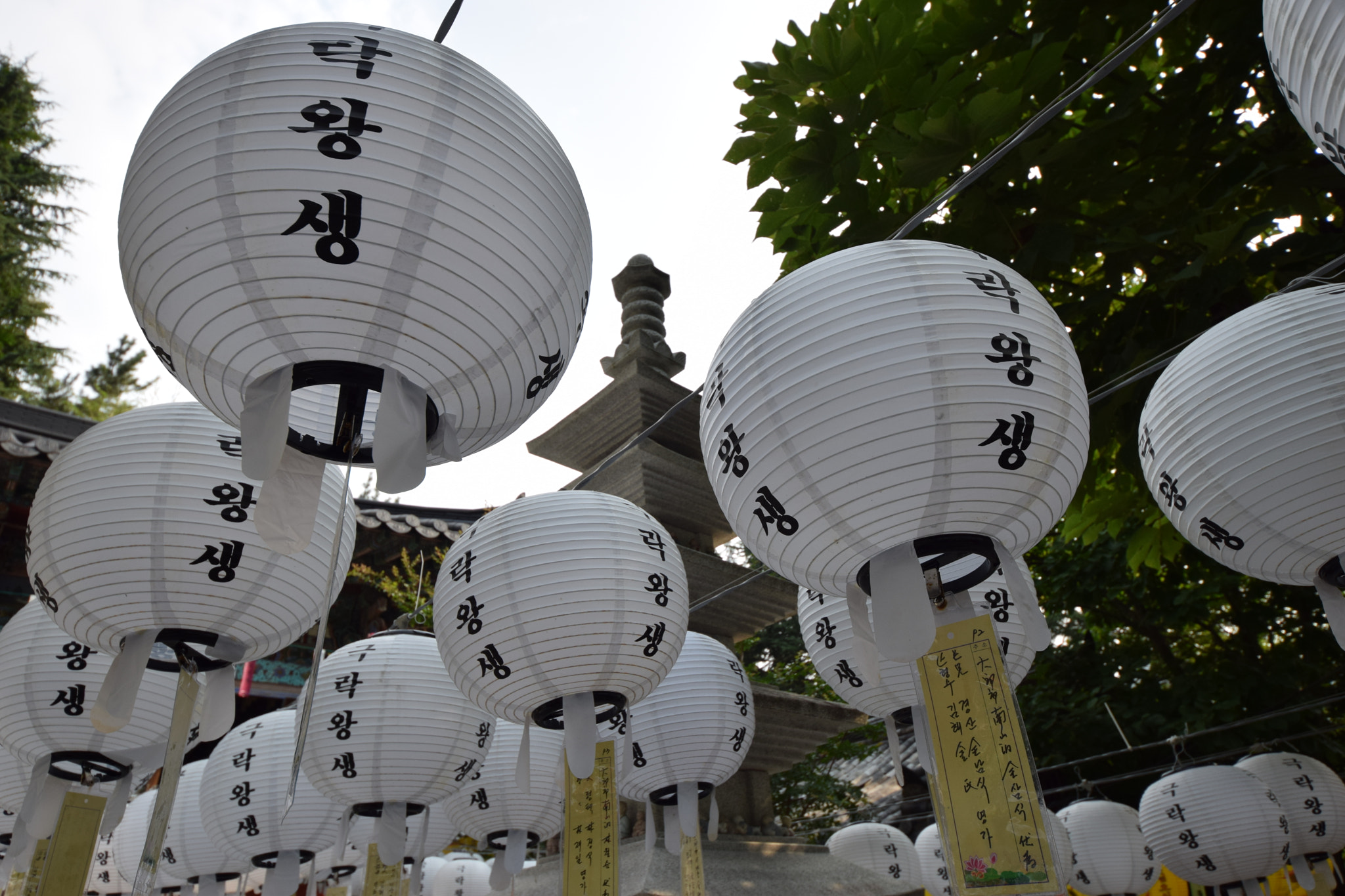 Sigma 8-16mm F4.5-5.6 DC HSM sample photo. Travel photography