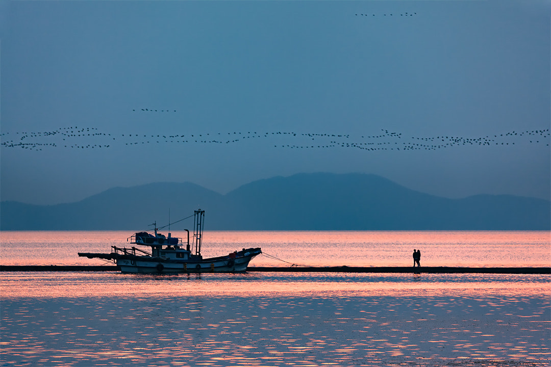 Canon EF 100-400mm F4.5-5.6L IS II USM sample photo. Walk the beach photography