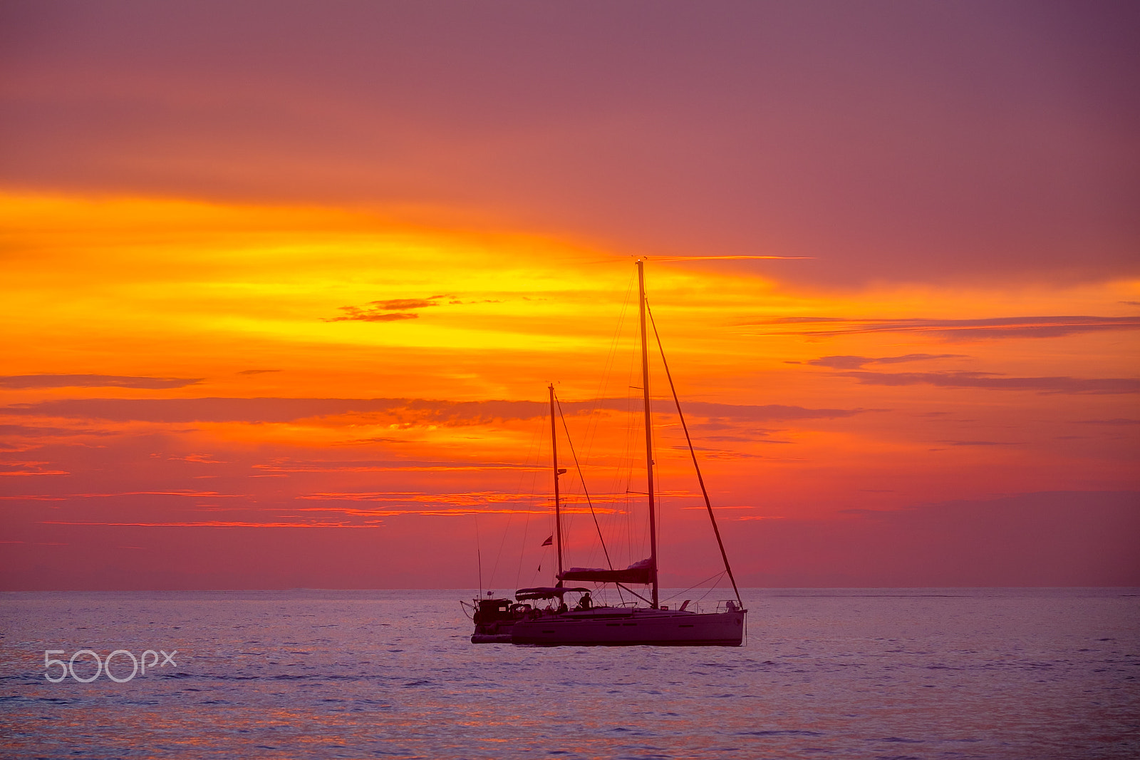 Fujifilm X-E2 + Fujifilm XF 50-140mm F2.8 R LM OIS WR sample photo. Bliss photography