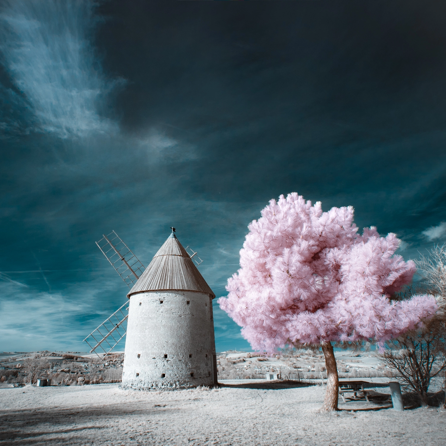 Canon EF-S 10-18mm F4.5–5.6 IS STM sample photo. La barbe du meunier photography