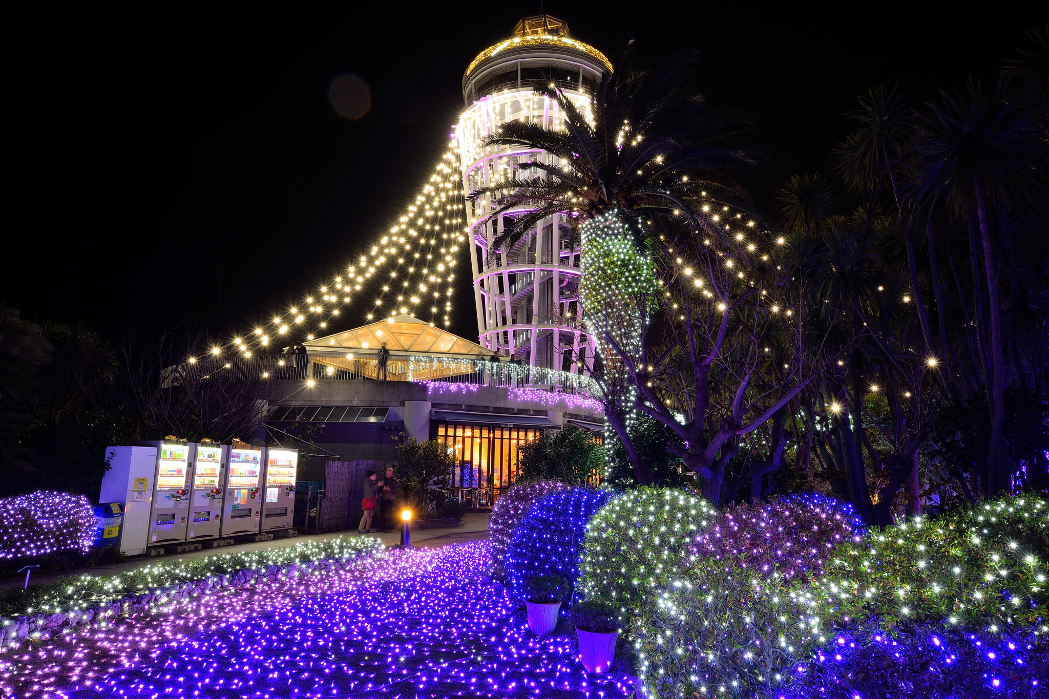 Sigma 8-16mm F4.5-5.6 DC HSM sample photo. Enoshima20151212 photography
