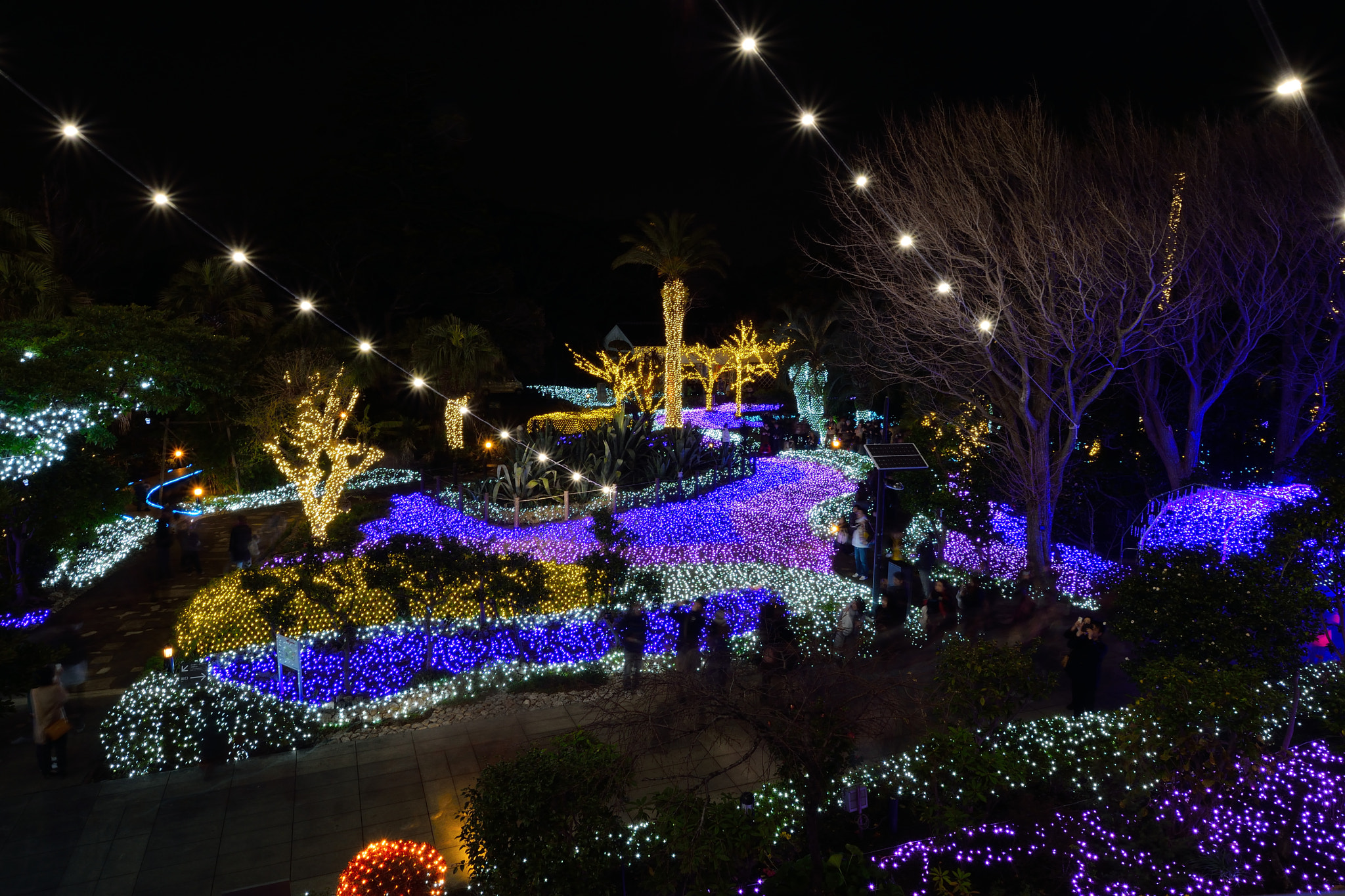 Sigma 8-16mm F4.5-5.6 DC HSM sample photo. Enoshima20151212 photography