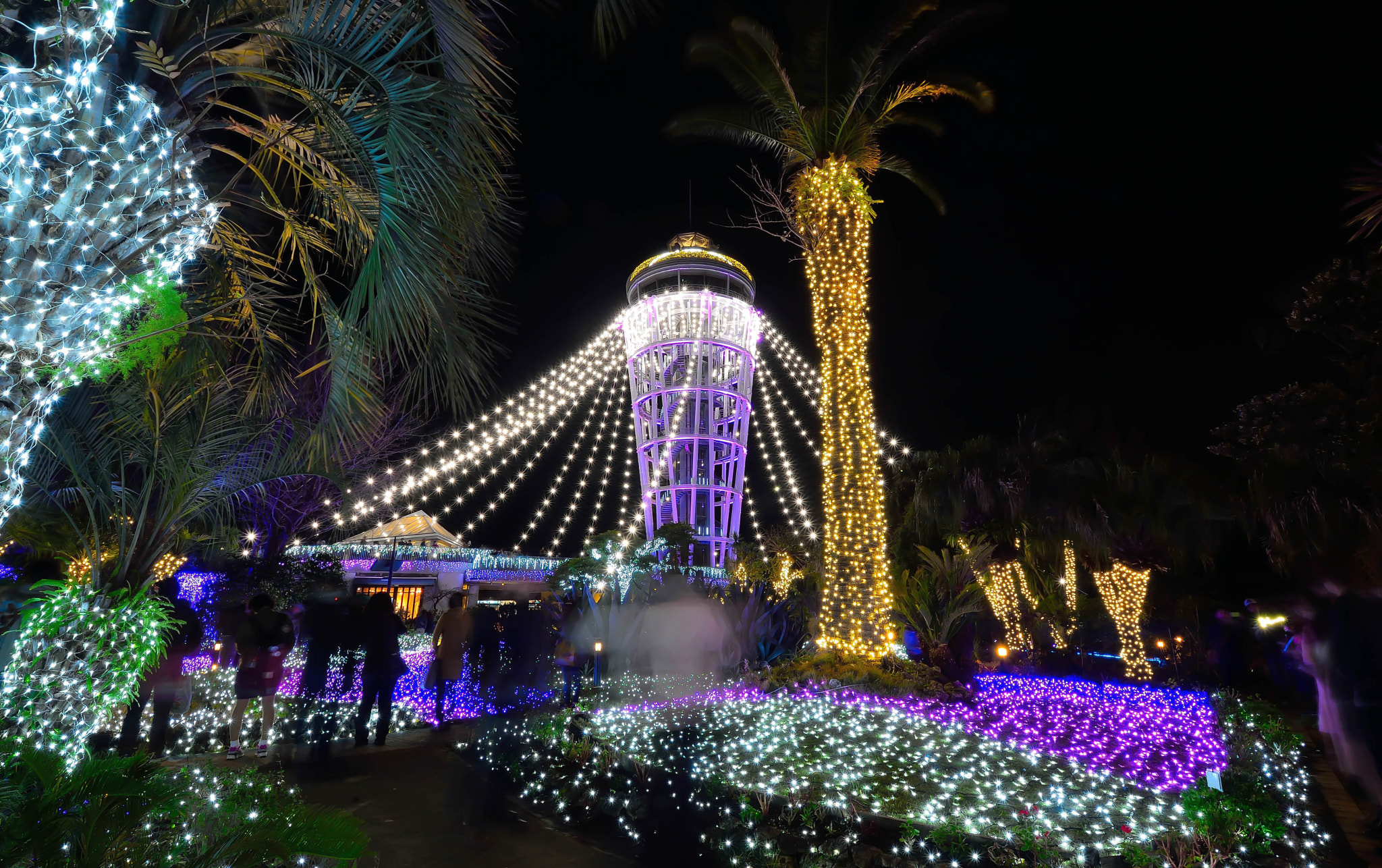 Sigma 8-16mm F4.5-5.6 DC HSM sample photo. Enoshima20151212 photography