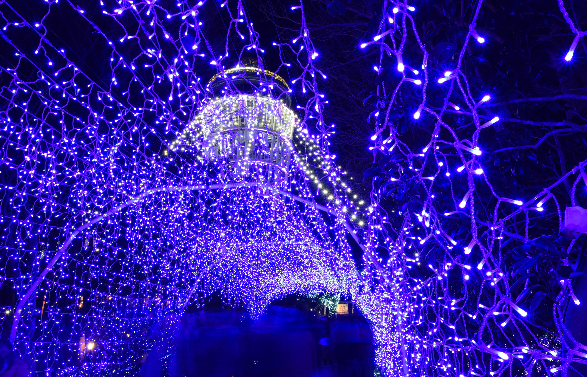 Sigma 8-16mm F4.5-5.6 DC HSM sample photo. Enoshima20151212 photography