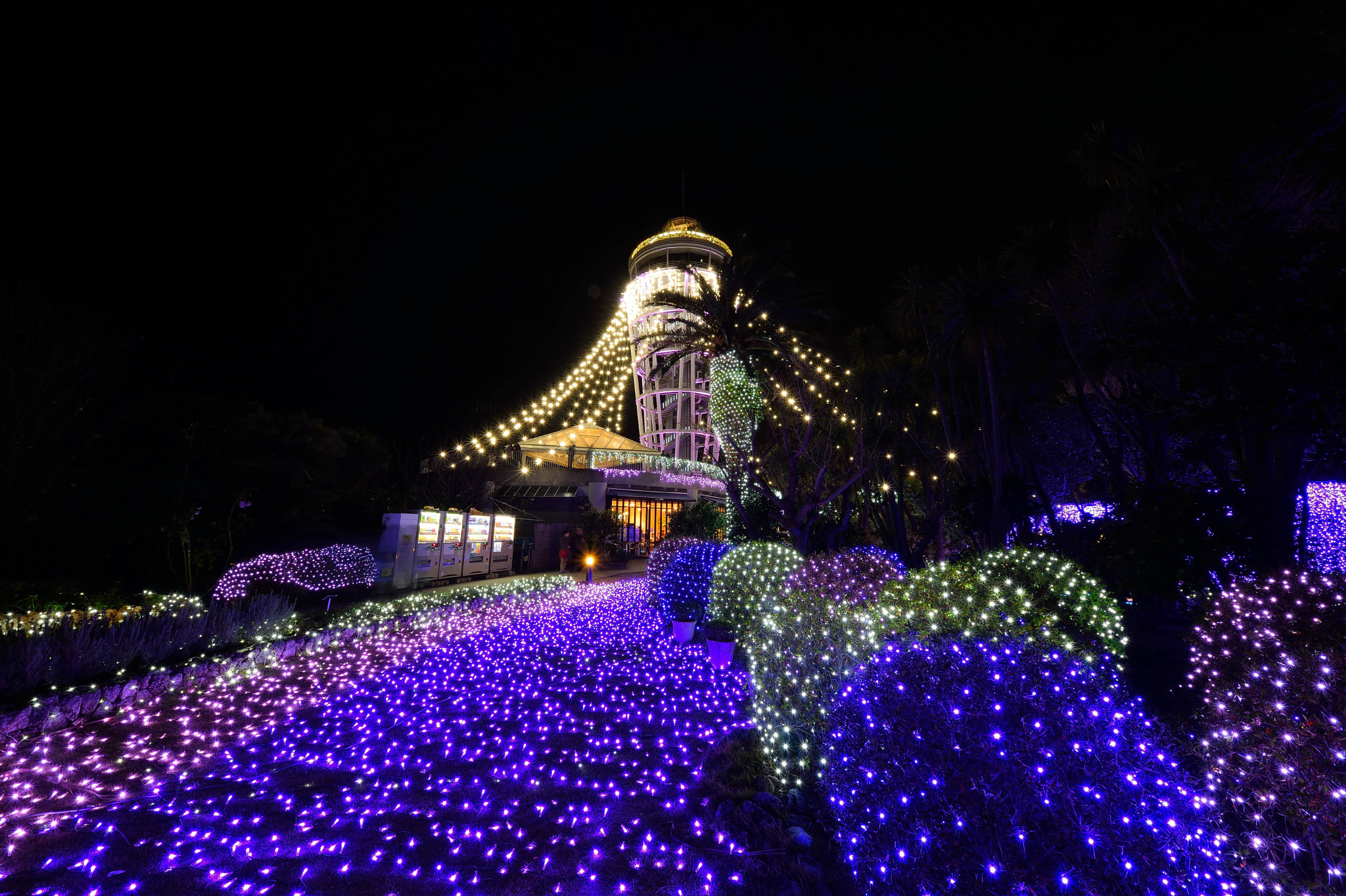 Sigma 8-16mm F4.5-5.6 DC HSM sample photo. Enoshima20151212 photography