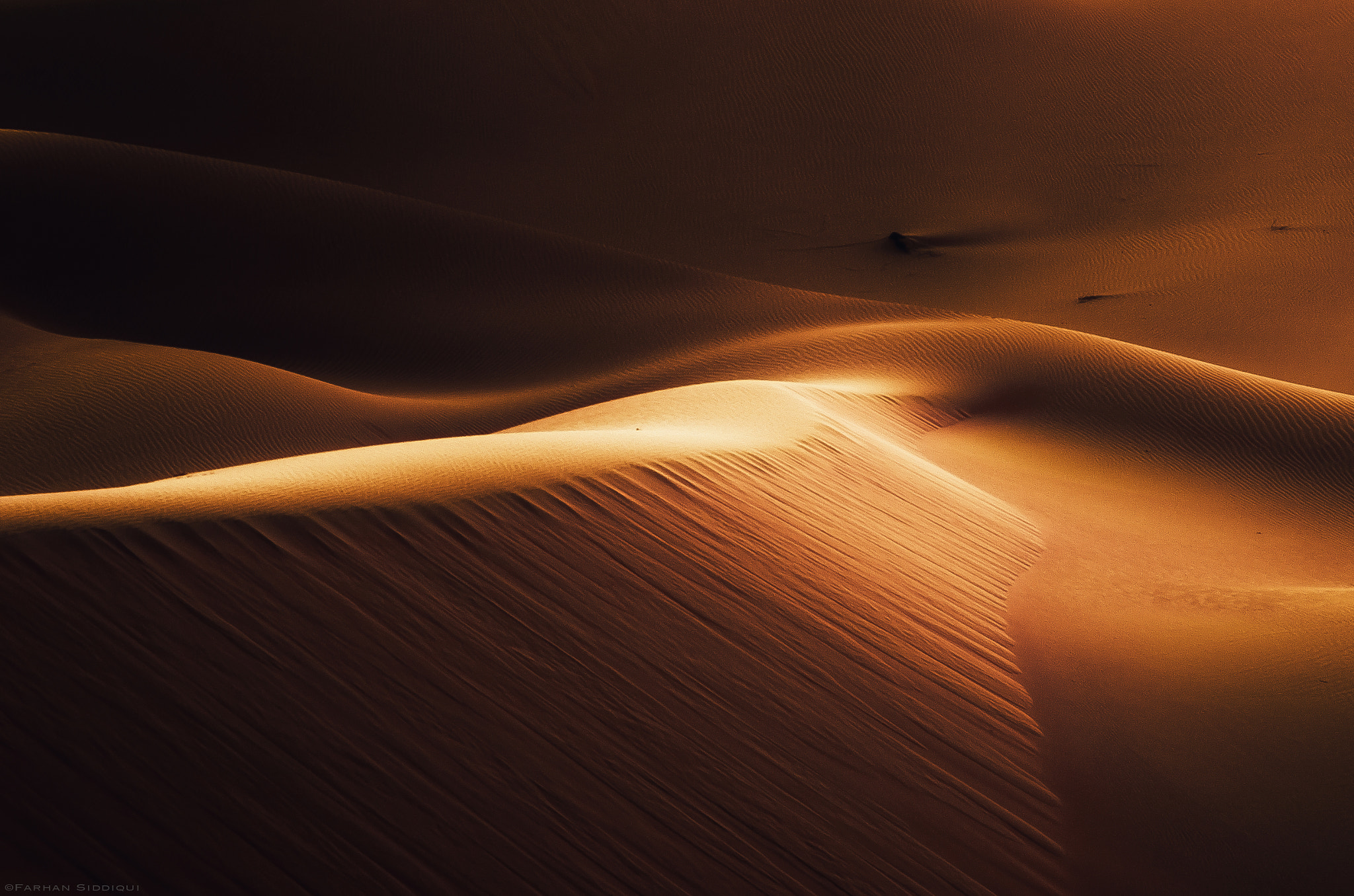 Nikon D7000 + AF Micro-Nikkor 105mm f/2.8 sample photo. Gleamy dunes! photography