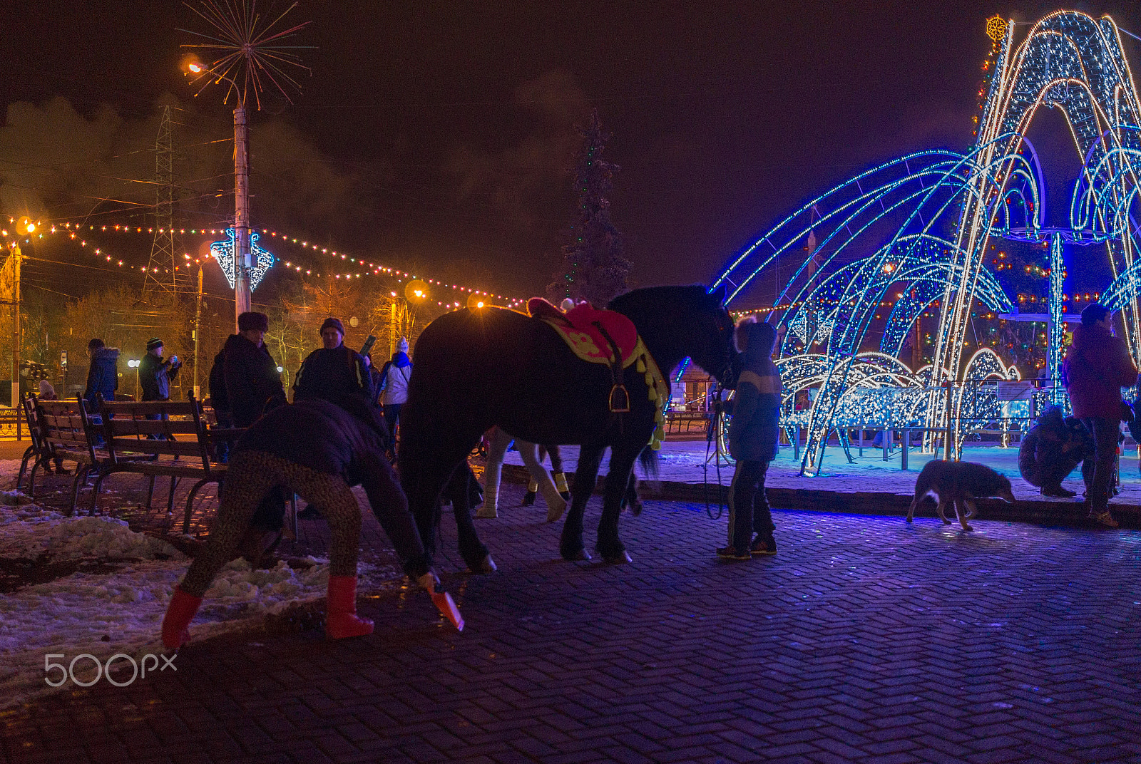 Sony Alpha a5000 (ILCE 5000) + Sony Sonnar T* E 24mm F1.8 ZA sample photo. Horse and dog photography