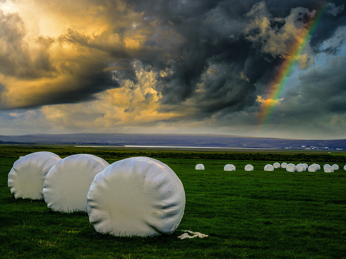 Schneider LS 80mm f/2.8 sample photo. Harvest and and rainbow photography
