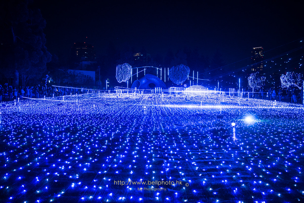 Sony a7 + Canon EF 85mm F1.2L II USM sample photo. クリスマス イルミネーション photography