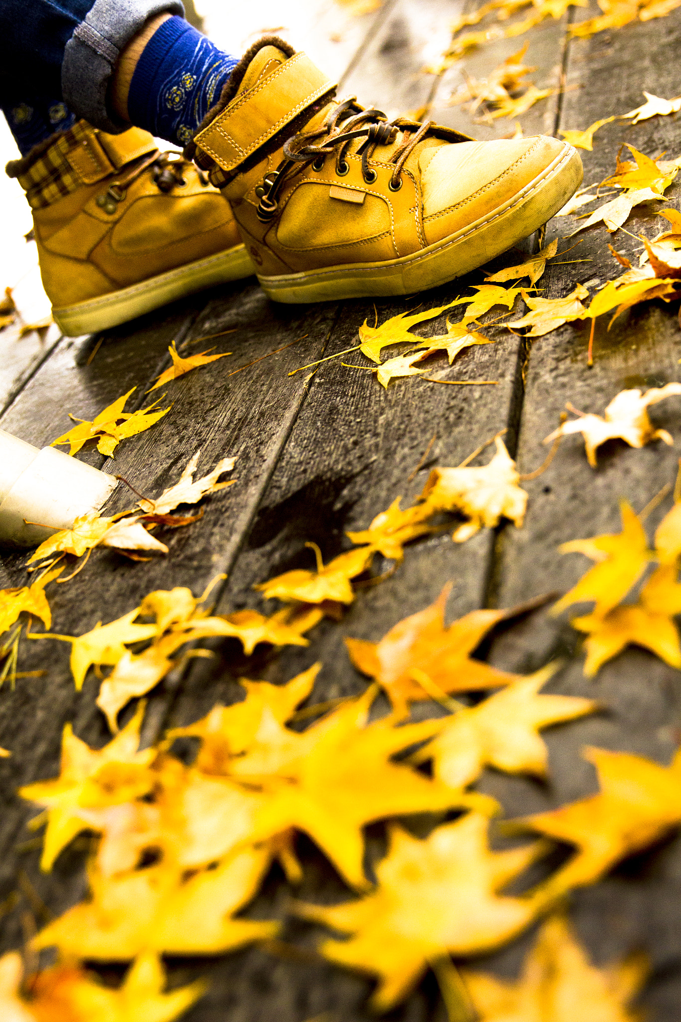 Canon EF 24-70mm F2.8L II USM sample photo. Path of autumn photography