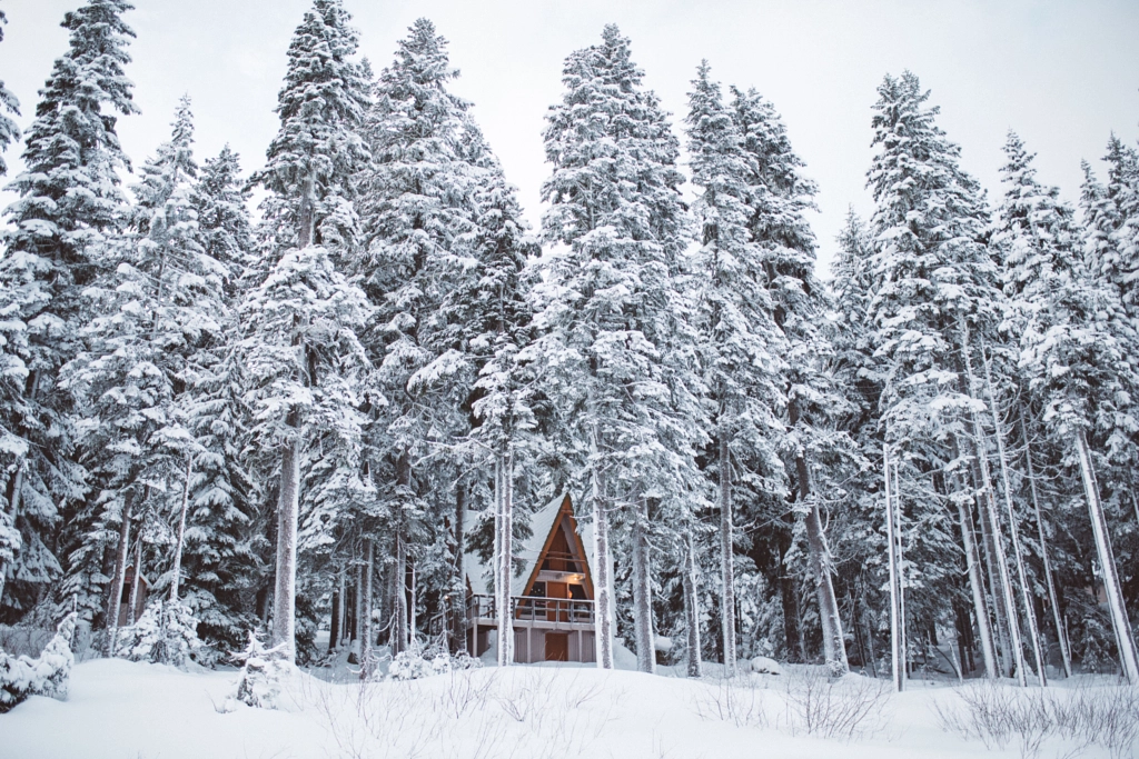 Winter getaway by Nick Carnera on 500px.com