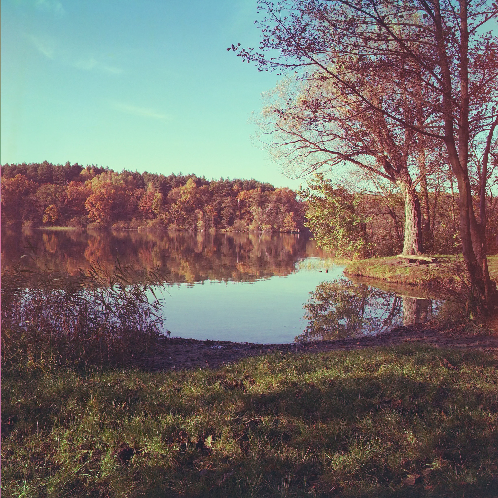 Hipstamatic 278 sample photo. Sacrower see in brandenburg photography