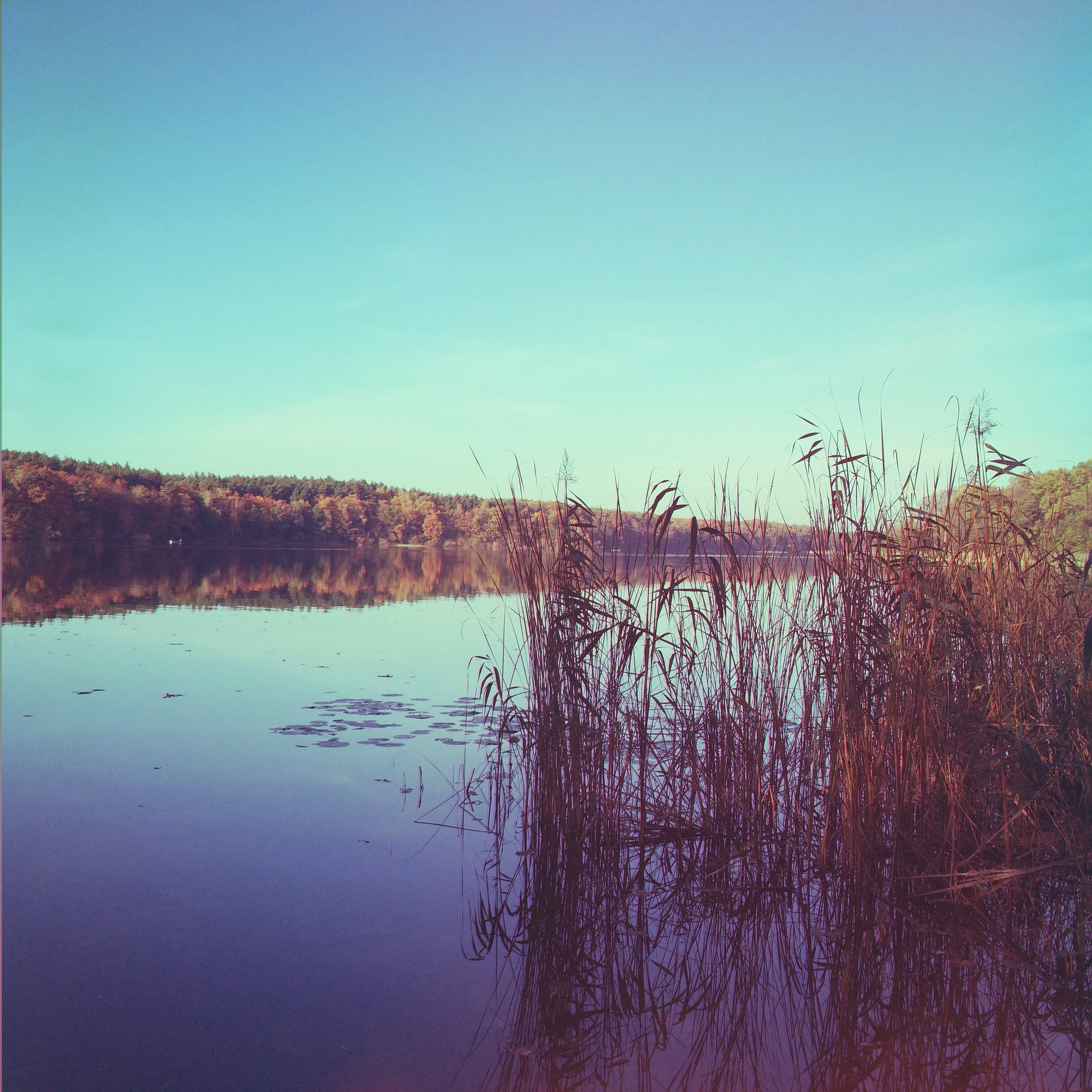 Hipstamatic 278 sample photo. Sacrower see in brandenburg photography