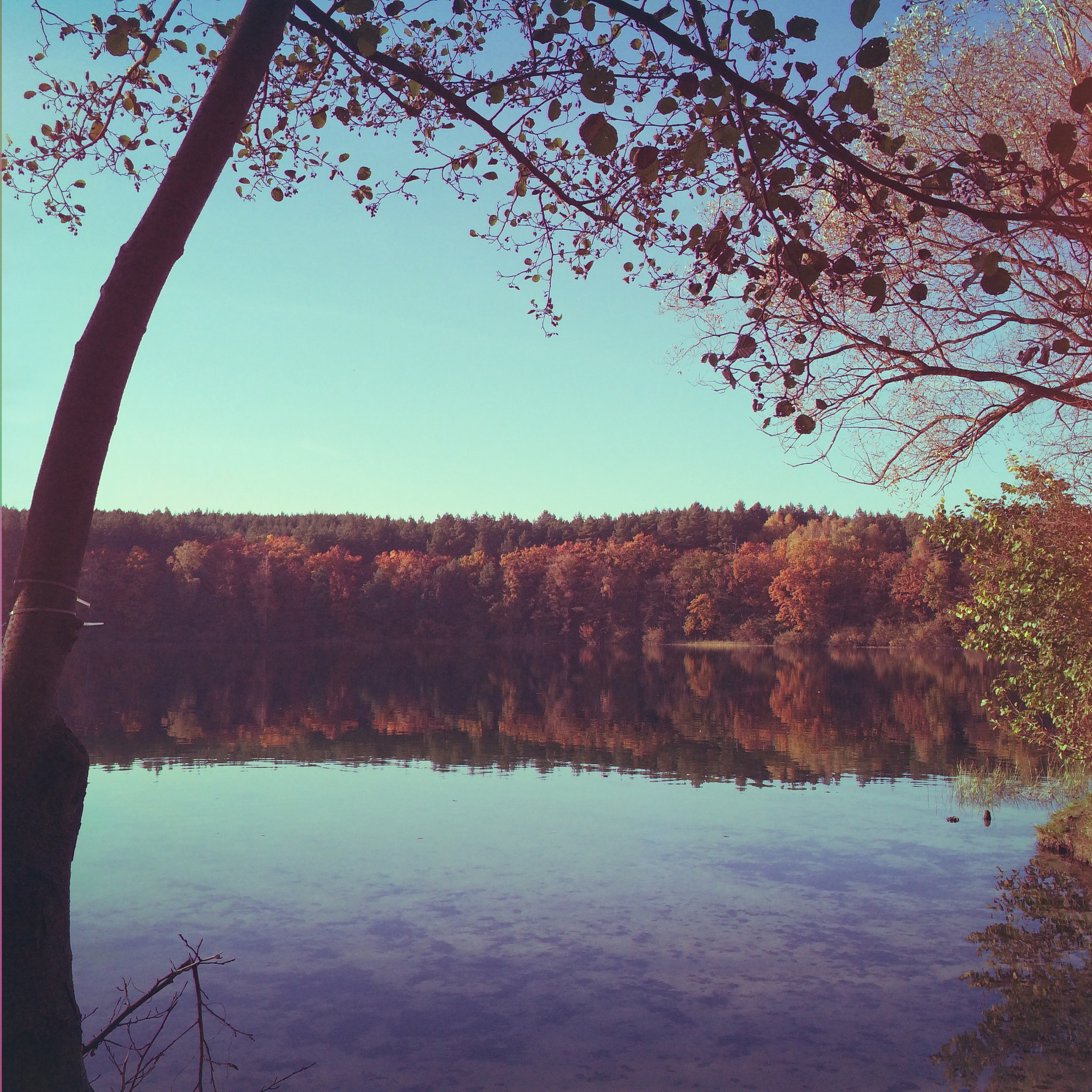 Hipstamatic 278 sample photo. Sacrower see in brandenburg photography
