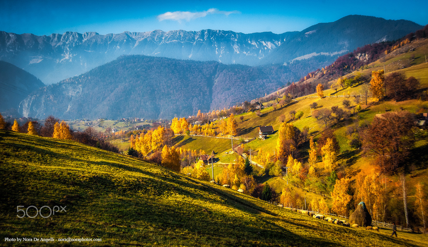 Nikon AF Nikkor 24-85mm F2.8-4D IF sample photo. Traditional romanian mountain village. autumn. photography
