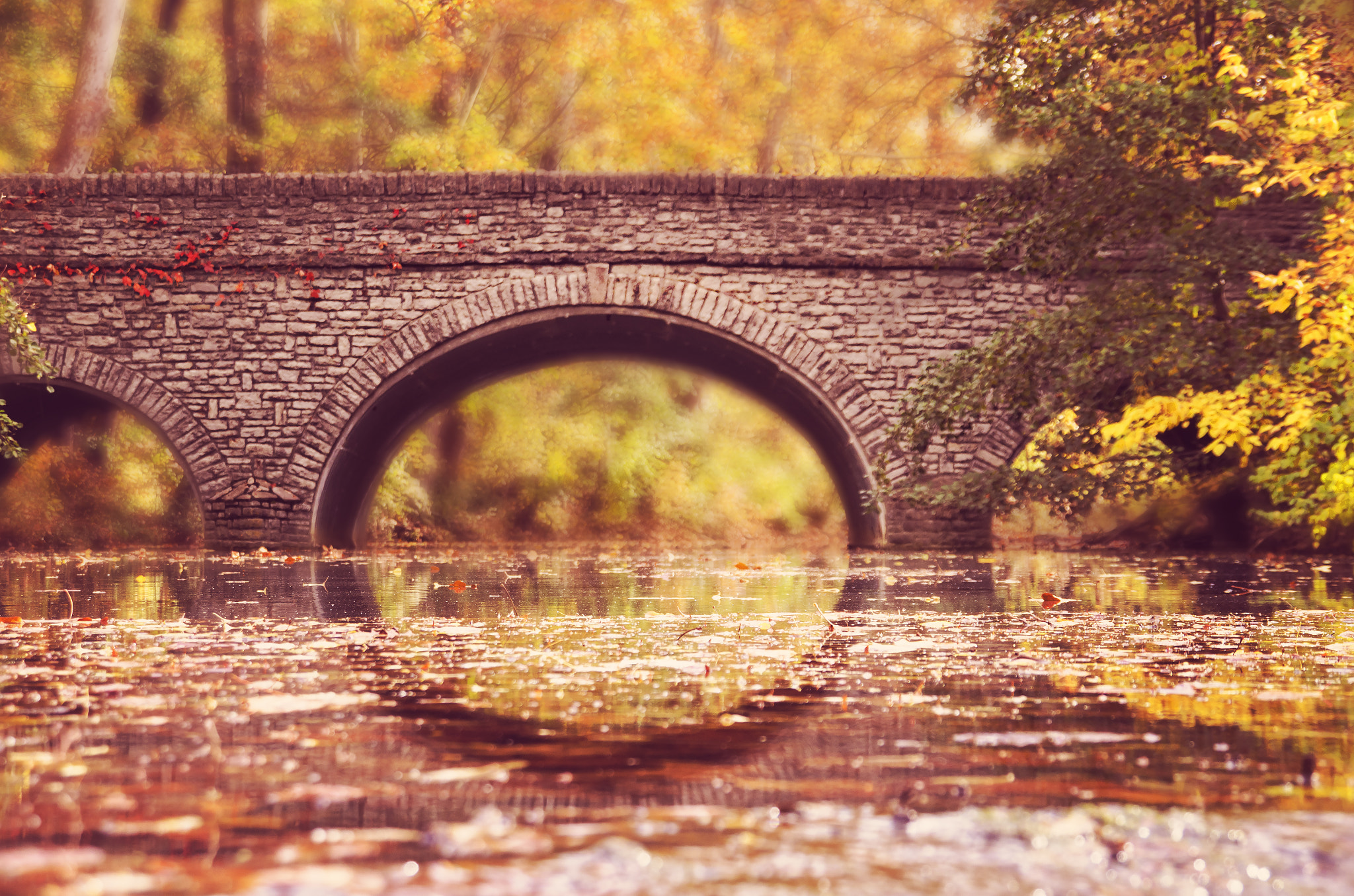 Nikon D7000 + Sigma 18-200mm F3.5-6.3 DC sample photo. Sharon woods bridge photography