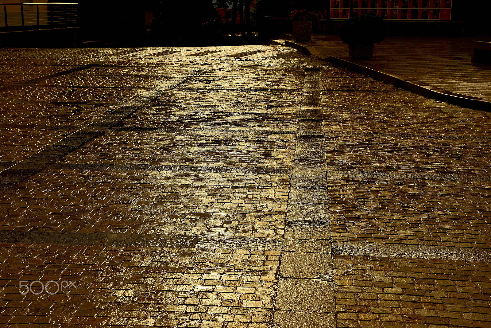 AF Zoom-Nikkor 35-135mm f/3.5-4.5 N sample photo. After the rain photography